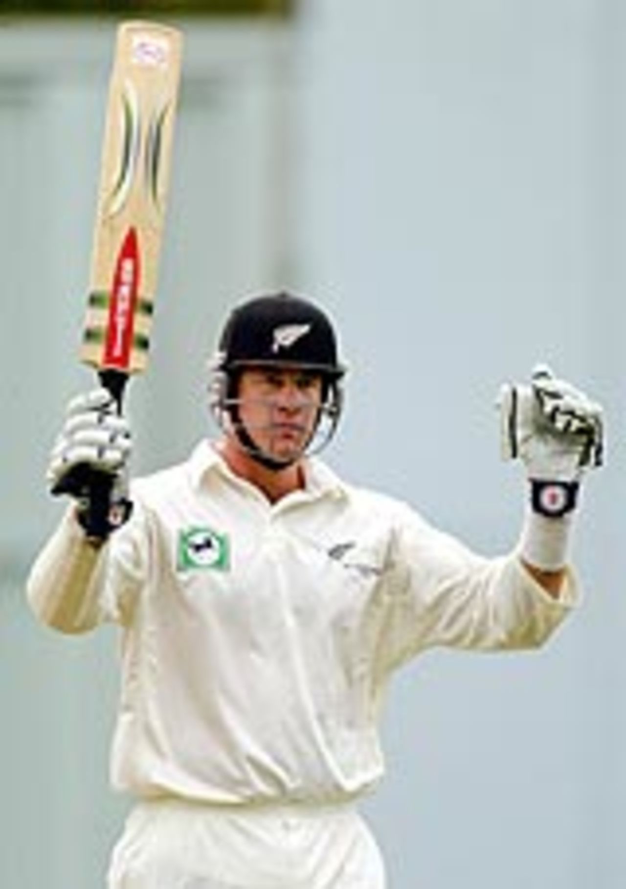 Jacob Oram celebrates his maiden Test century, New Zealand v South Africa, Hamilton 2003-04