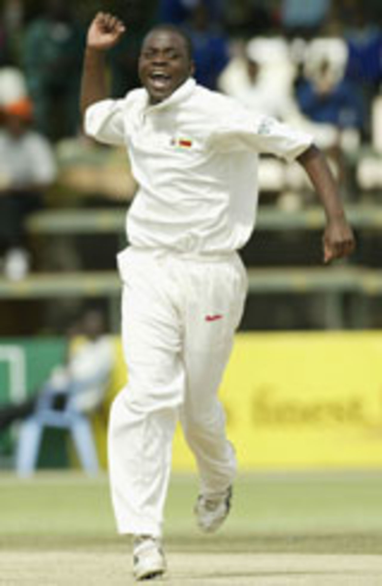 Blessing Mahwire celebrates a wicket, Zimbabwe v Sri Lanka, 1st Test,  Harare, May 8, 2004