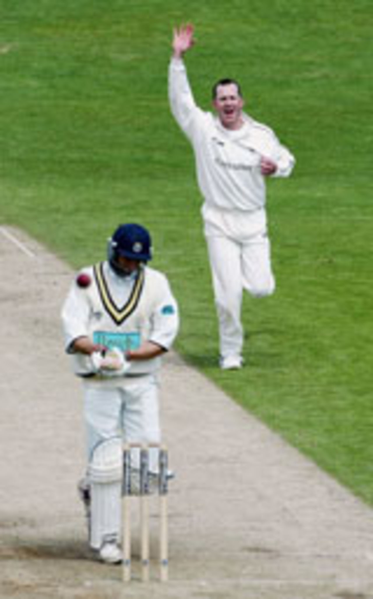 Craig White celebrates the wicket of Nic Pothas, Yorkshire v Hampshire, Headingley, May 14, 2004