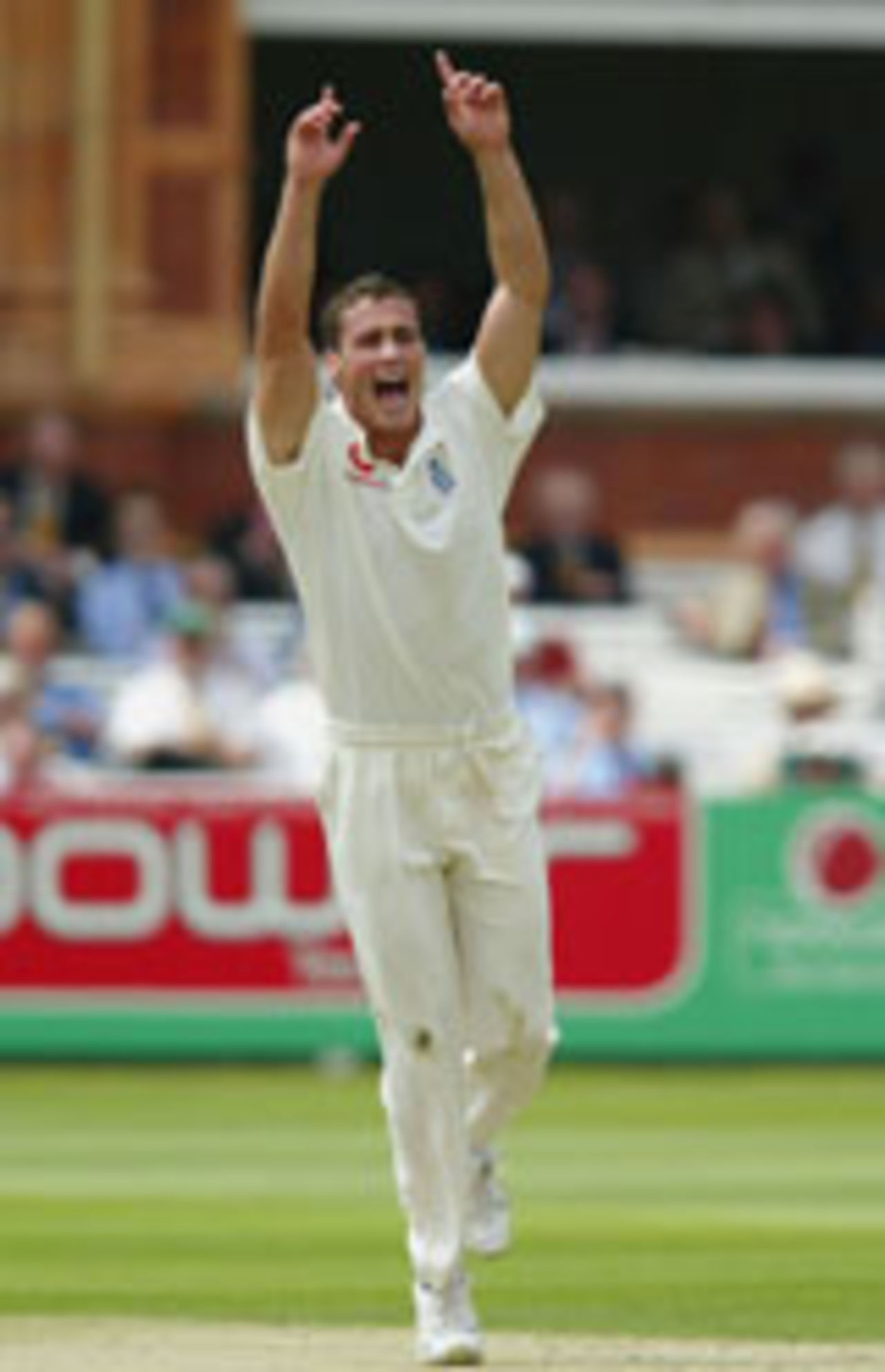 Simon Jones celebrates the wicket of Stephen Fleming, England v New Zealand, 1st Test, Lord's, May 20, 2004