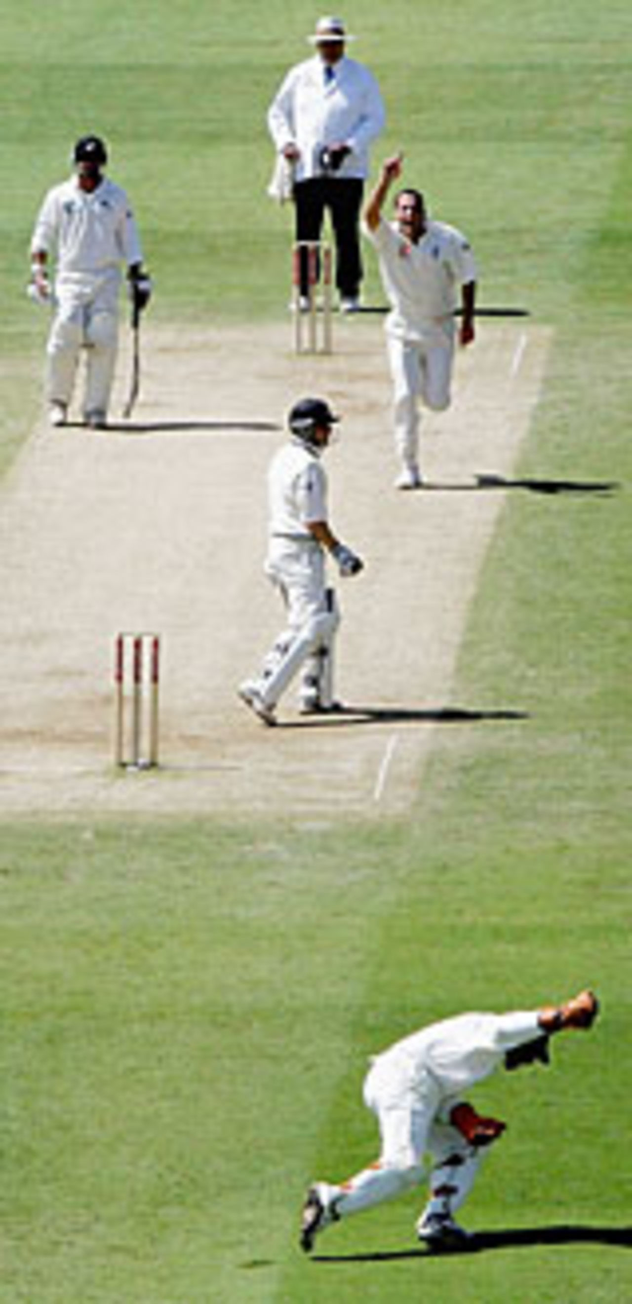 Simon Jones dismisses Brendan McCullum for 96, Geraint Jones taking the catch, England v New Zealand, 1st Test, Lord's, May 23, 2004