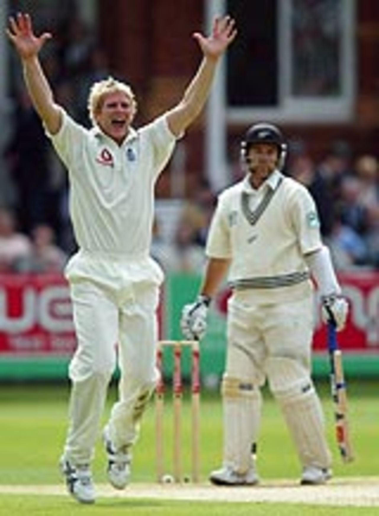 Matthew Hoggard dismisses Craig McMillan, England v New Zealand, Lord's, May 2004