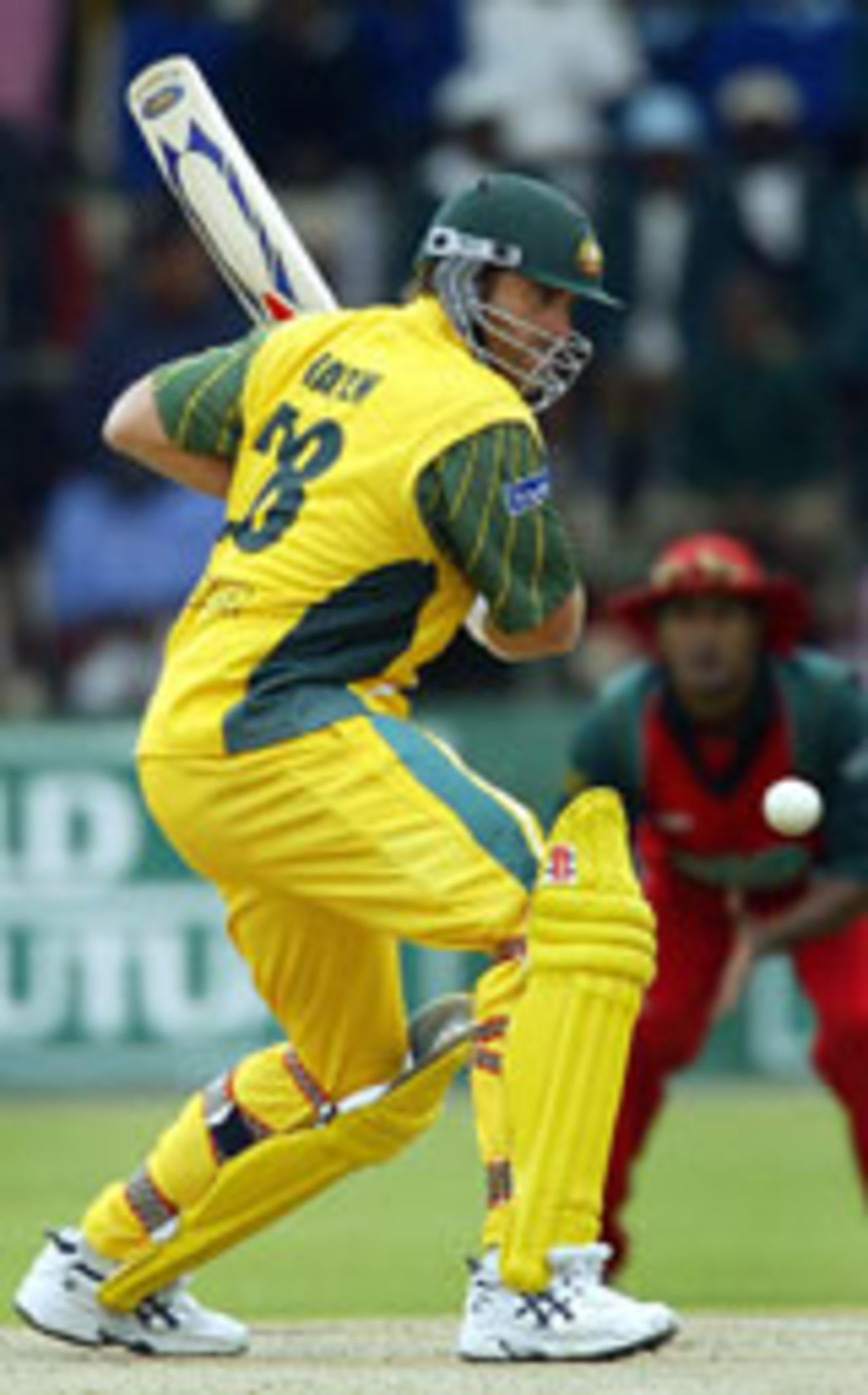 Matthew Hayden batting, Zimbabwe v Australia, 2nd ODI, Harare, May 27, 2004