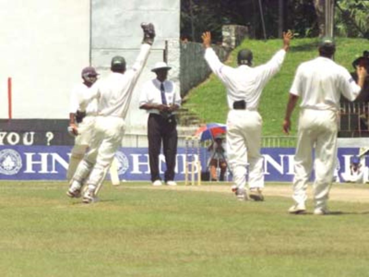 Pakistanis plead with Bucknor to no avail on the second day of the First Test, 15 June, 2000. Pakistan in Sri Lanka, Sinhalese Sports Club Ground, Colombo, 14-18 June 2000