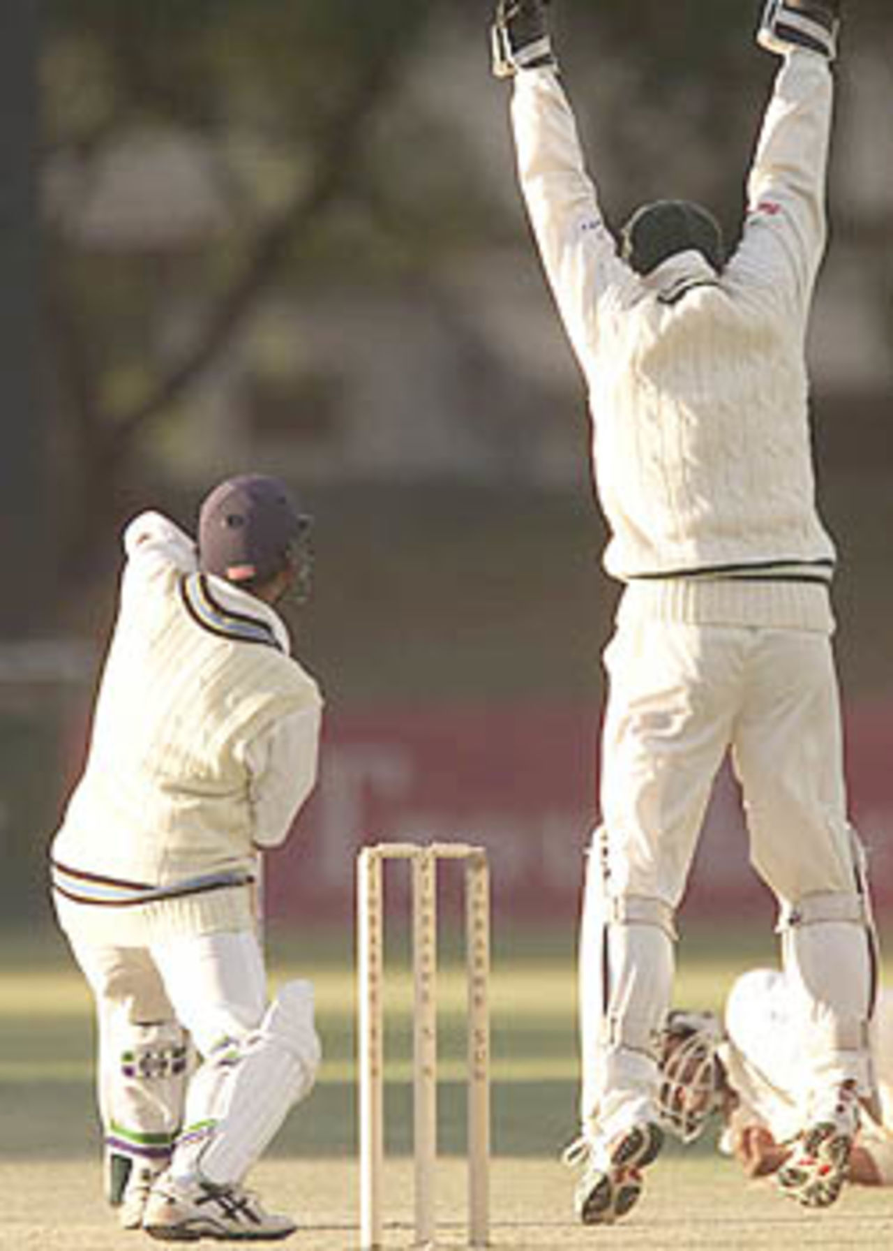 7 June 2001: India in Zimbabwe, 2001, 1st Test, Zimbabwe v India, Queens Sports Club, Bulawayo, 7-11 June 2001(Day 1).