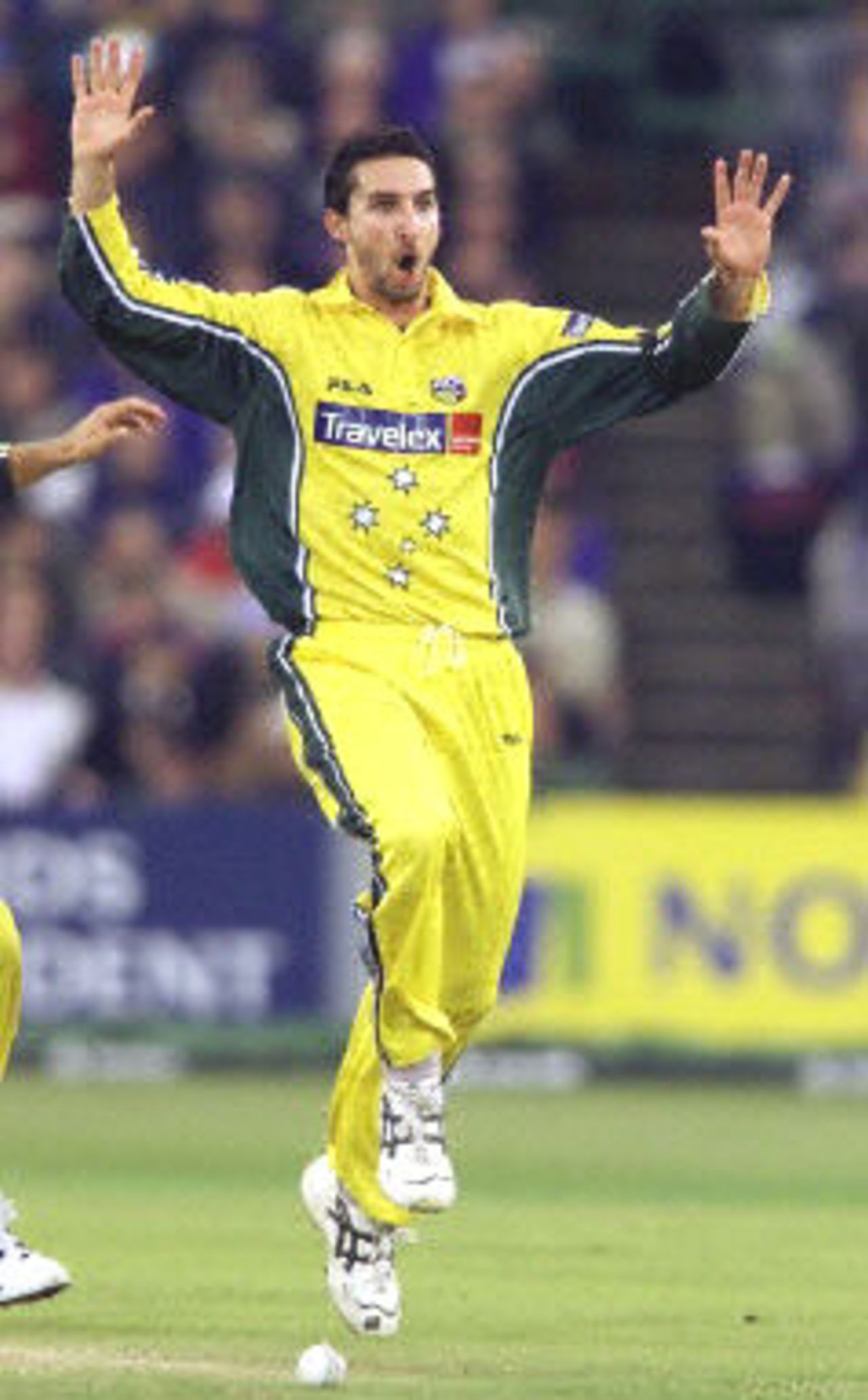 Jason Gillespie celebrates taking the wicket of Michael Vaughan, 5th ODI at Old Trafford,14 June 2001.