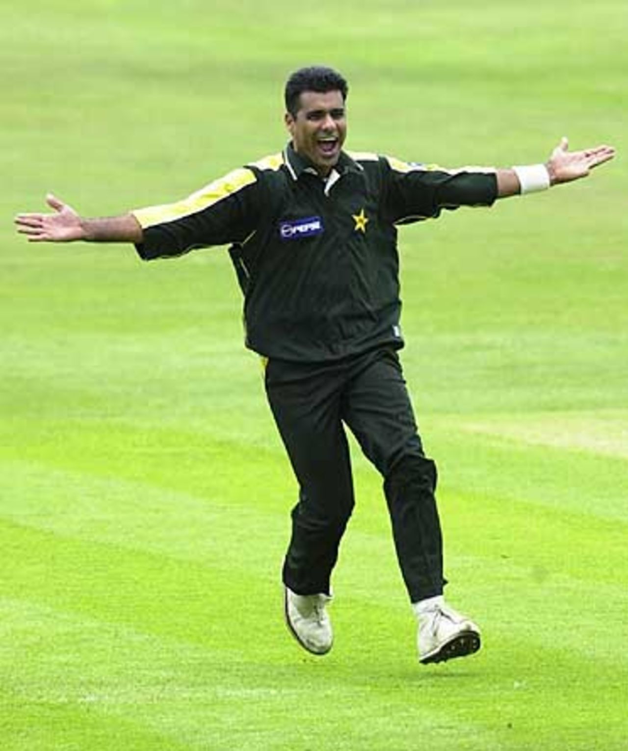 England v Pakistan, NatWest Series 2001, 7th Match, 17 June 2001, Leeds