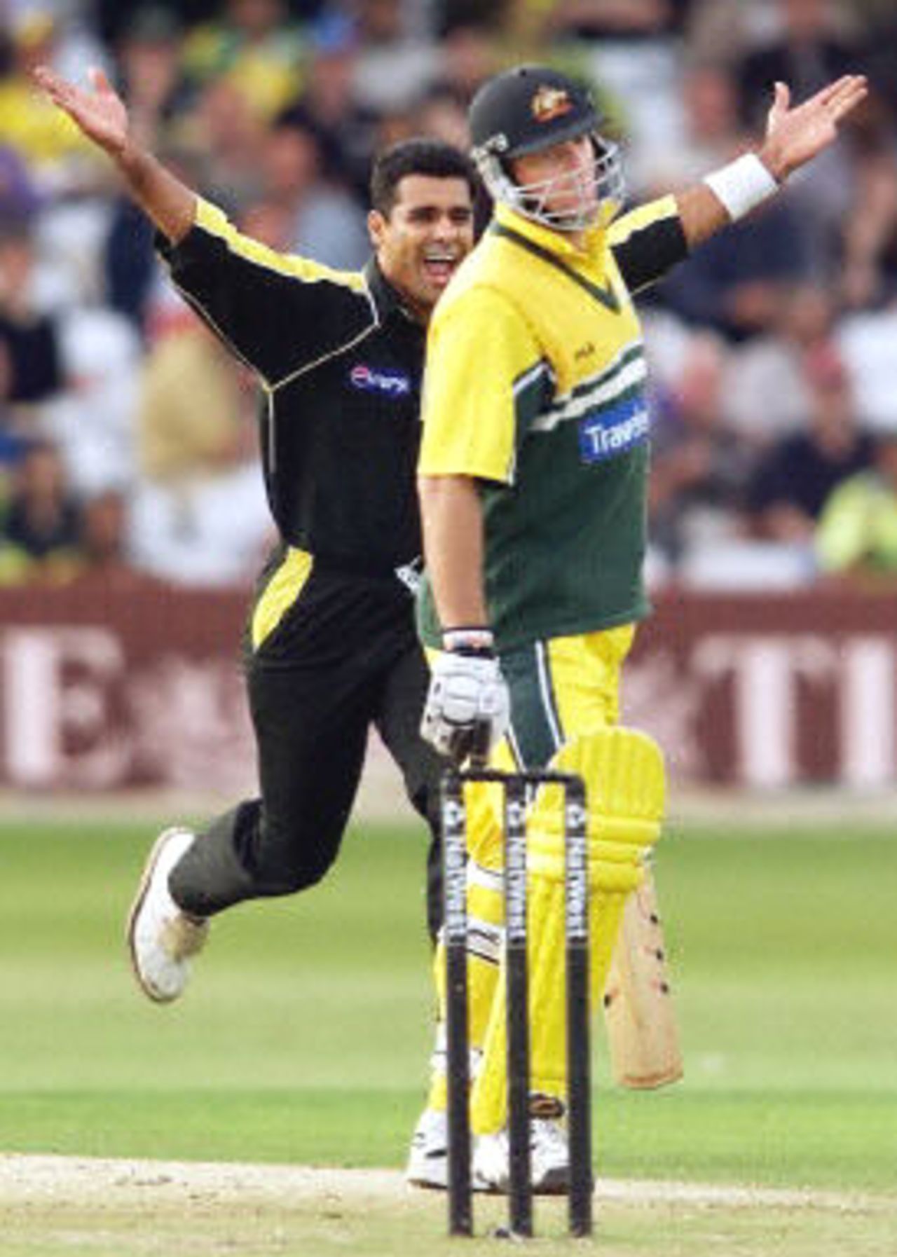 Waqar Younis celebrates the wicket of Mark Waugh, 8th ODI at Trent Bridge, 19 June 2001.