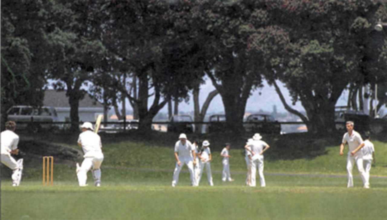 A game of cricket being played at the Devonport Domain No. 3 ground, as viewed from the No. 2 ground. The Waitemata Harbour is beyond the trees in the background.