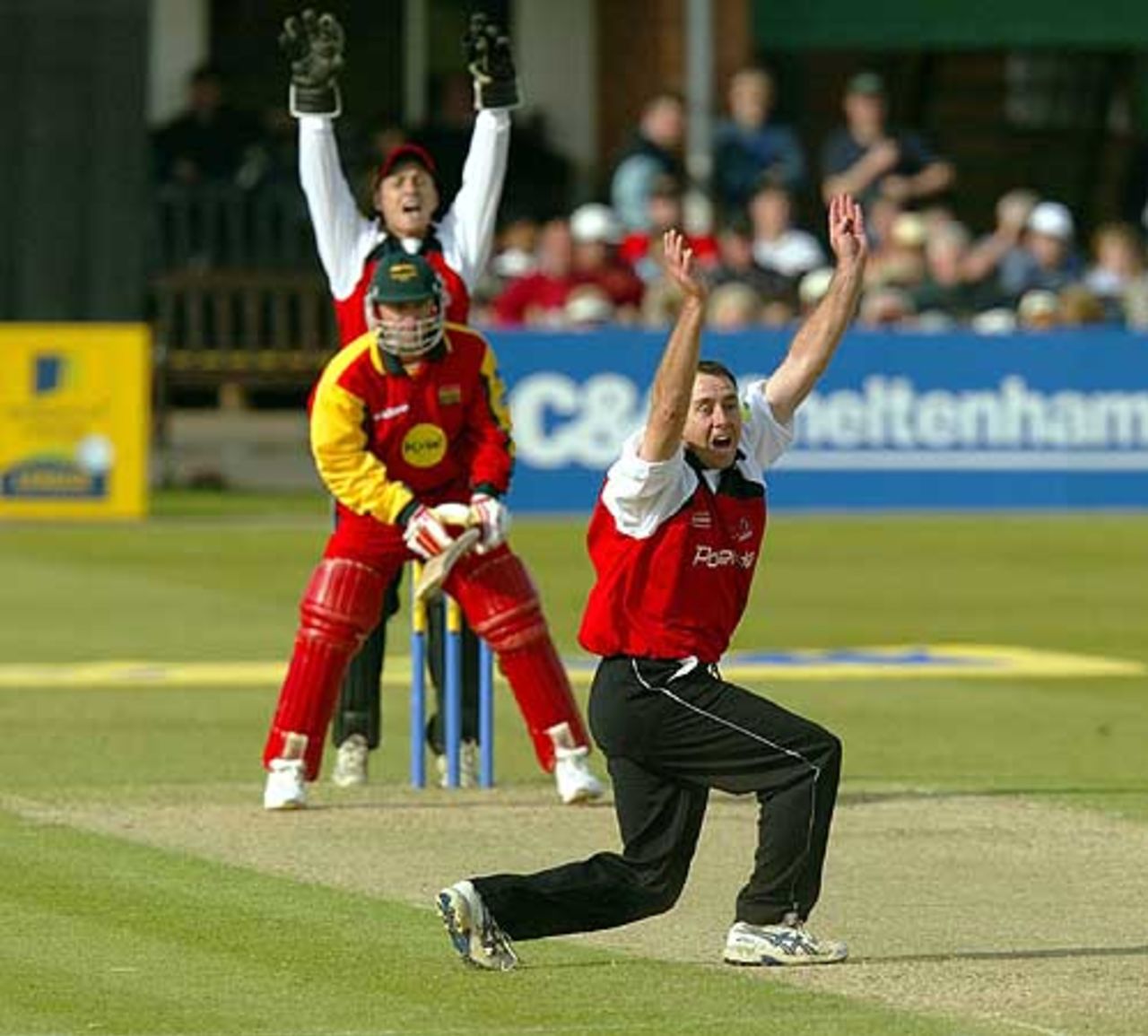 Adrian Dale appeals for the LBW of Darren Maddy during the Norwich Union League match between Leicestershire and Glamorgan at Leicester, 4 May 2002