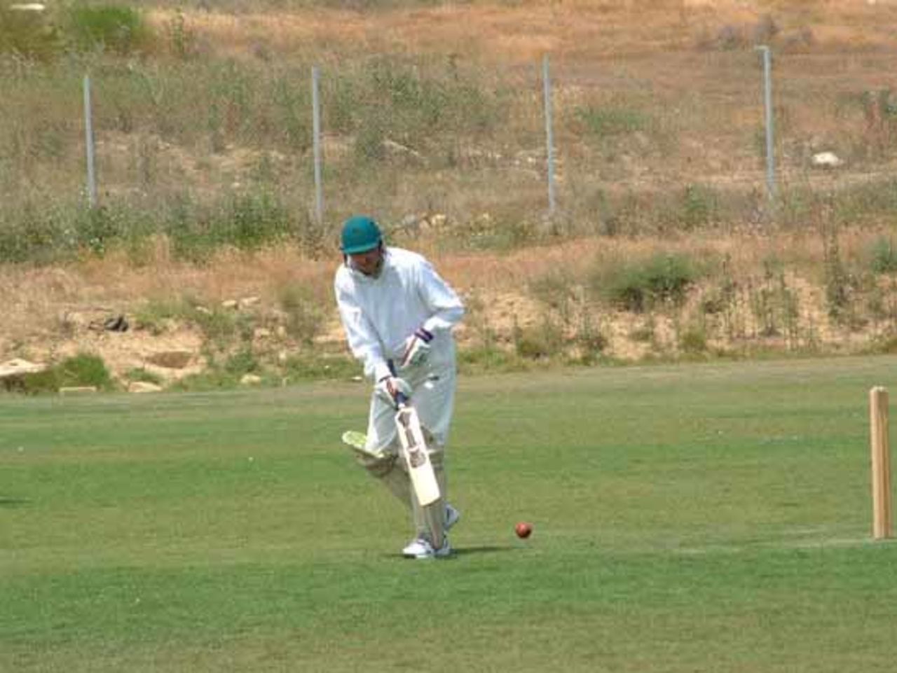 An ambassadorial tickle, Spirt of Cricket weekend 2002