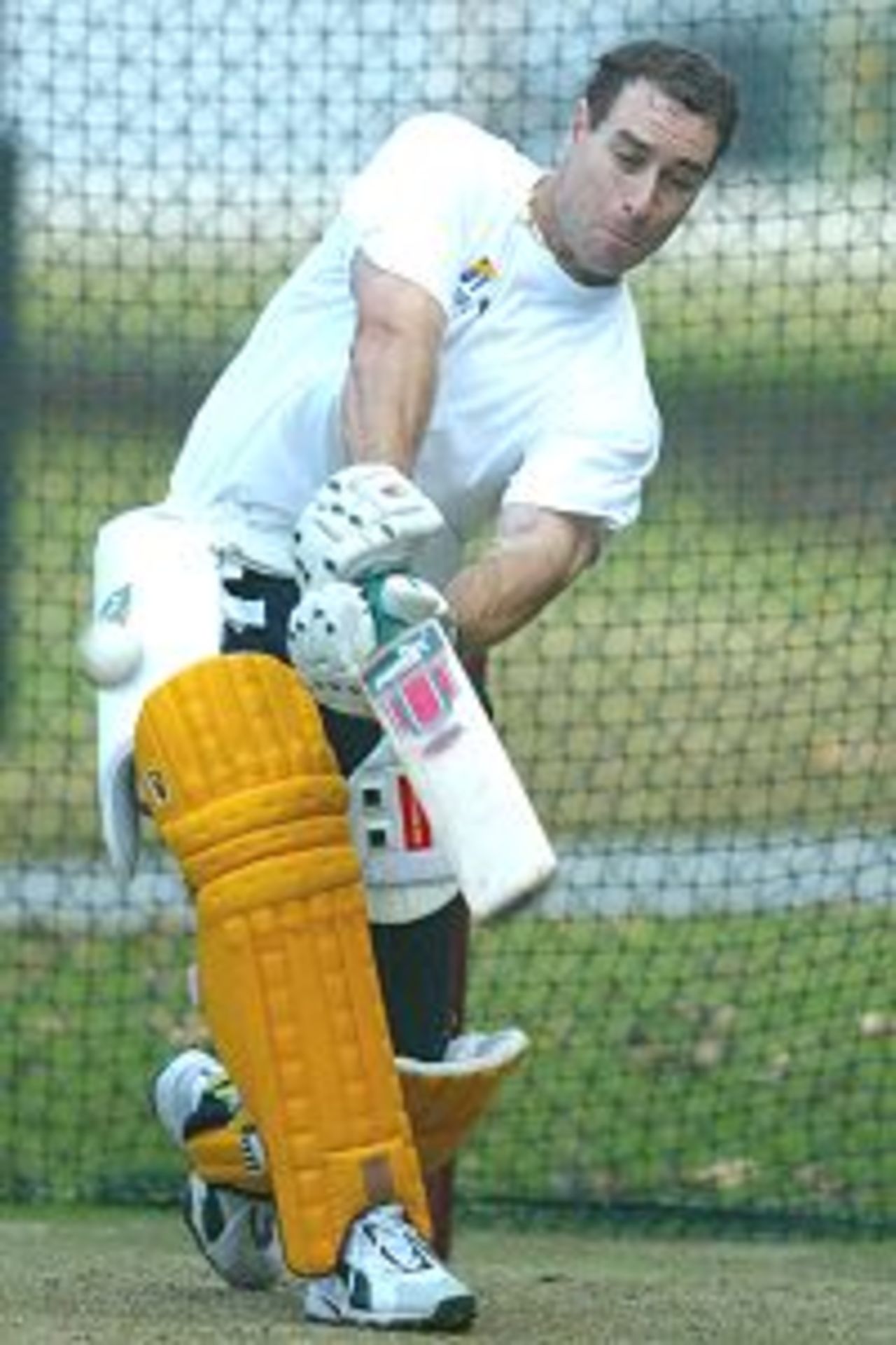BRISBANE - JUNE 17: Michael Bevan of Australia practices his batting during a team training session held at the Gabba in Brisbane, Australia on June 17, 2002.