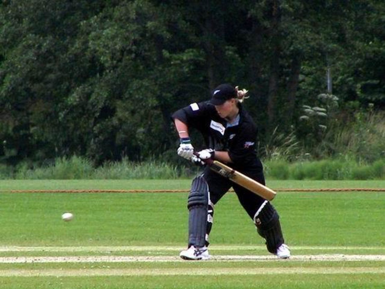 Aimee Mason batting for New Zealand against Netherlands, 25 June 2002
