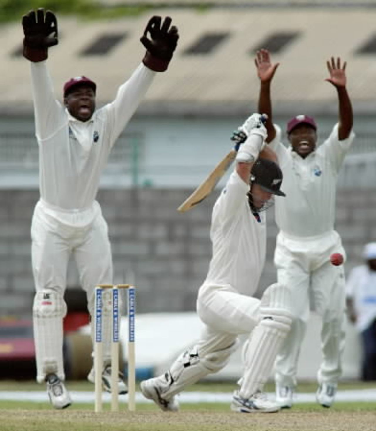 New Zealand batsman Mark Richardson survives an lbw appeal from West Indies wicket-keeper Ridley Jacobs and slip fielder Brian Lara from the bowling of Mahendra Nagamootoo. Richardson went on to score 95 in his first innings. 2nd Test: West Indies v New Zealand at Queen's Park, St George's, Grenada, 28 June-2 July 2002 (28 June 2002).