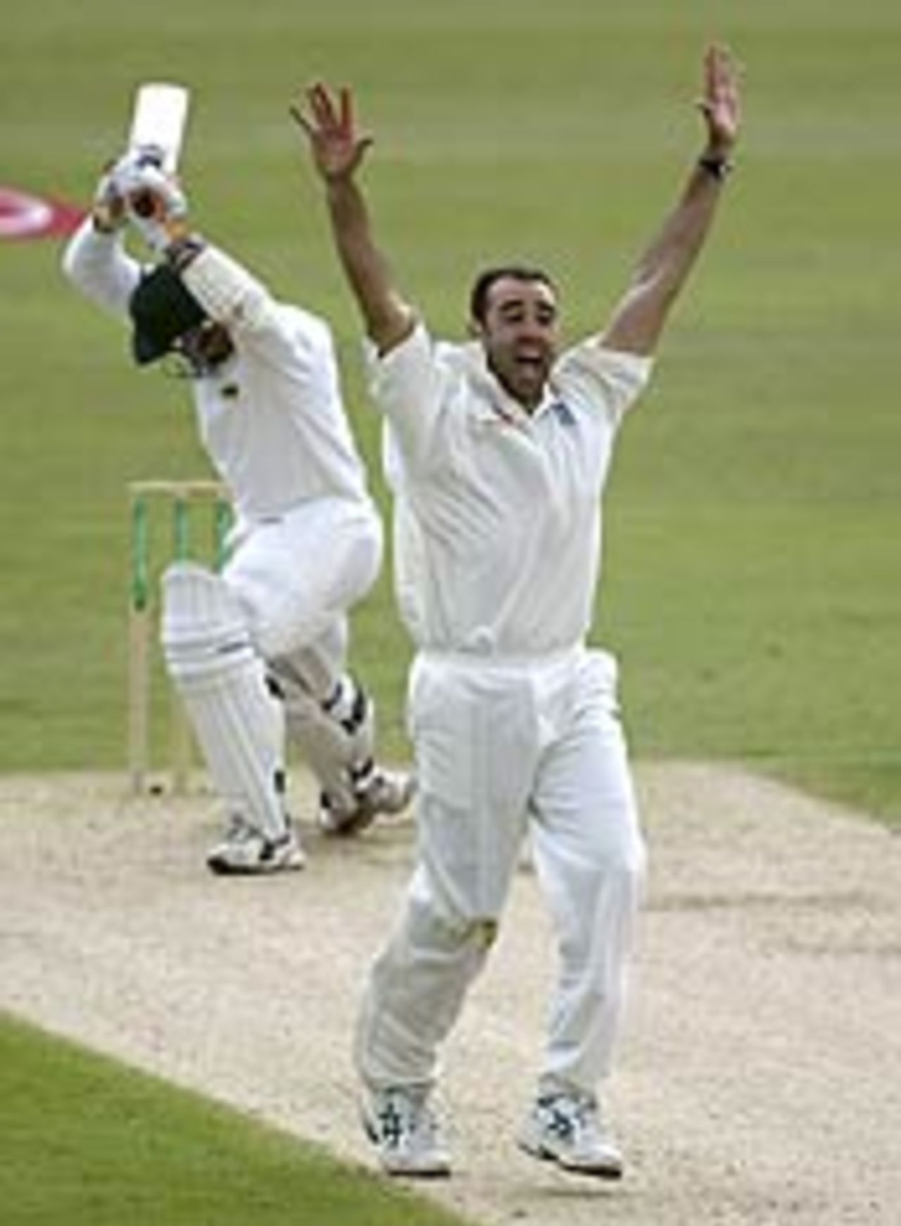 Richard Johnson traps Heath Streak lbw, England v Zimbabwe, 2nd Test, June 6, 2003