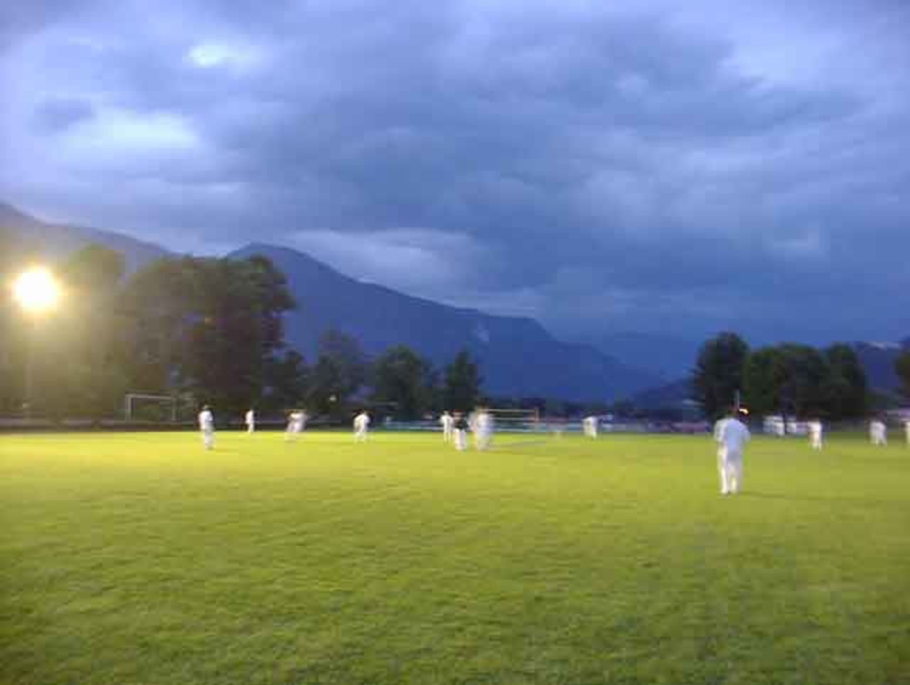 Cricket by night in Germany