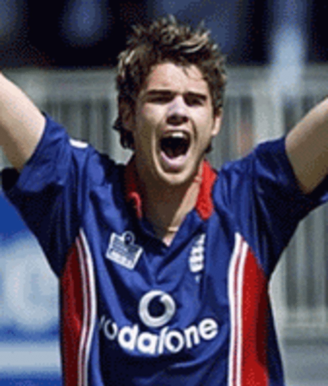 James Anderson appeals for leg-before against Imran Nazir during the second NatWest Challenge match at the AMP Oval