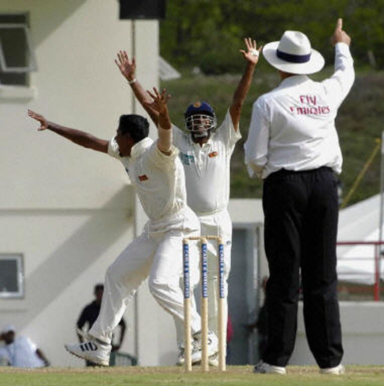 Chaminda Vaas and captain Hashan Tillakaratne celebrate as Unpire Daryll Harper raises his finger to dismiss West Indies' batsman Daren Ganga in first Test match at St Lucia.