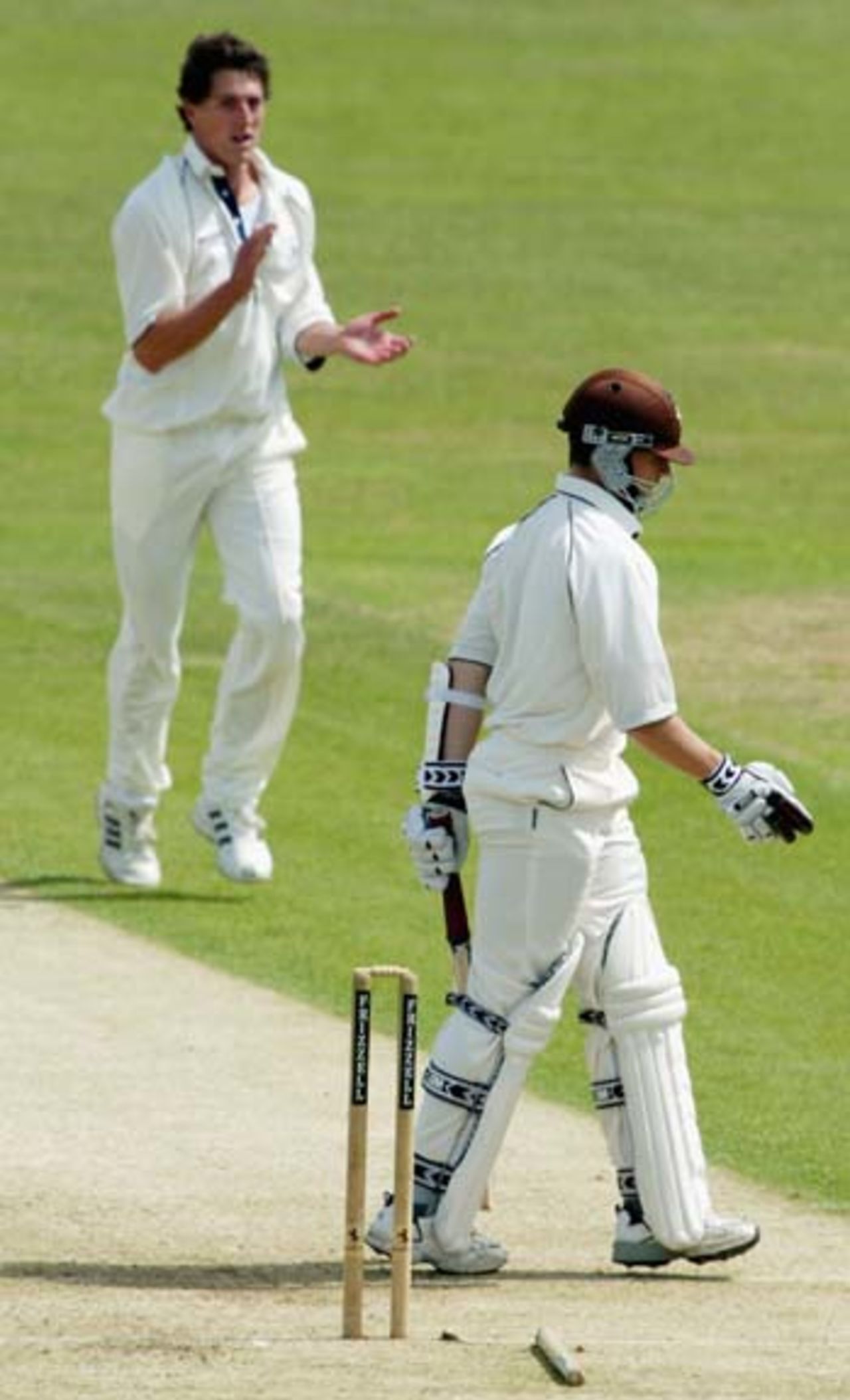 Jonathon Batty is bowled by a delighted Jon Lewis, Gloucestershire v Surrey, Bristol, June 2, 2004