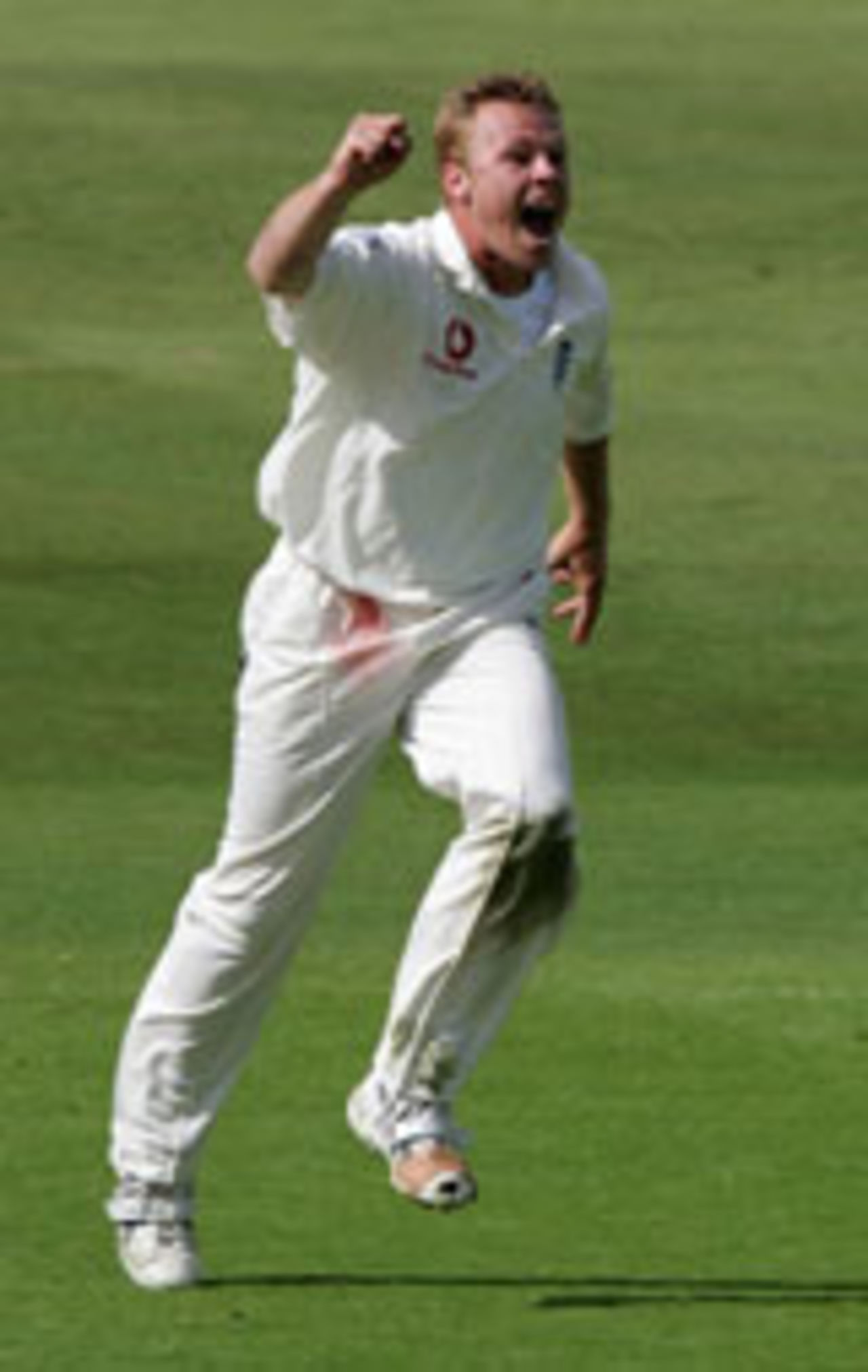 Martin Saggers celebrates the wicket of Nathan Astle, England v New Zealand, 2nd Test, Headingley, June 4, 2004