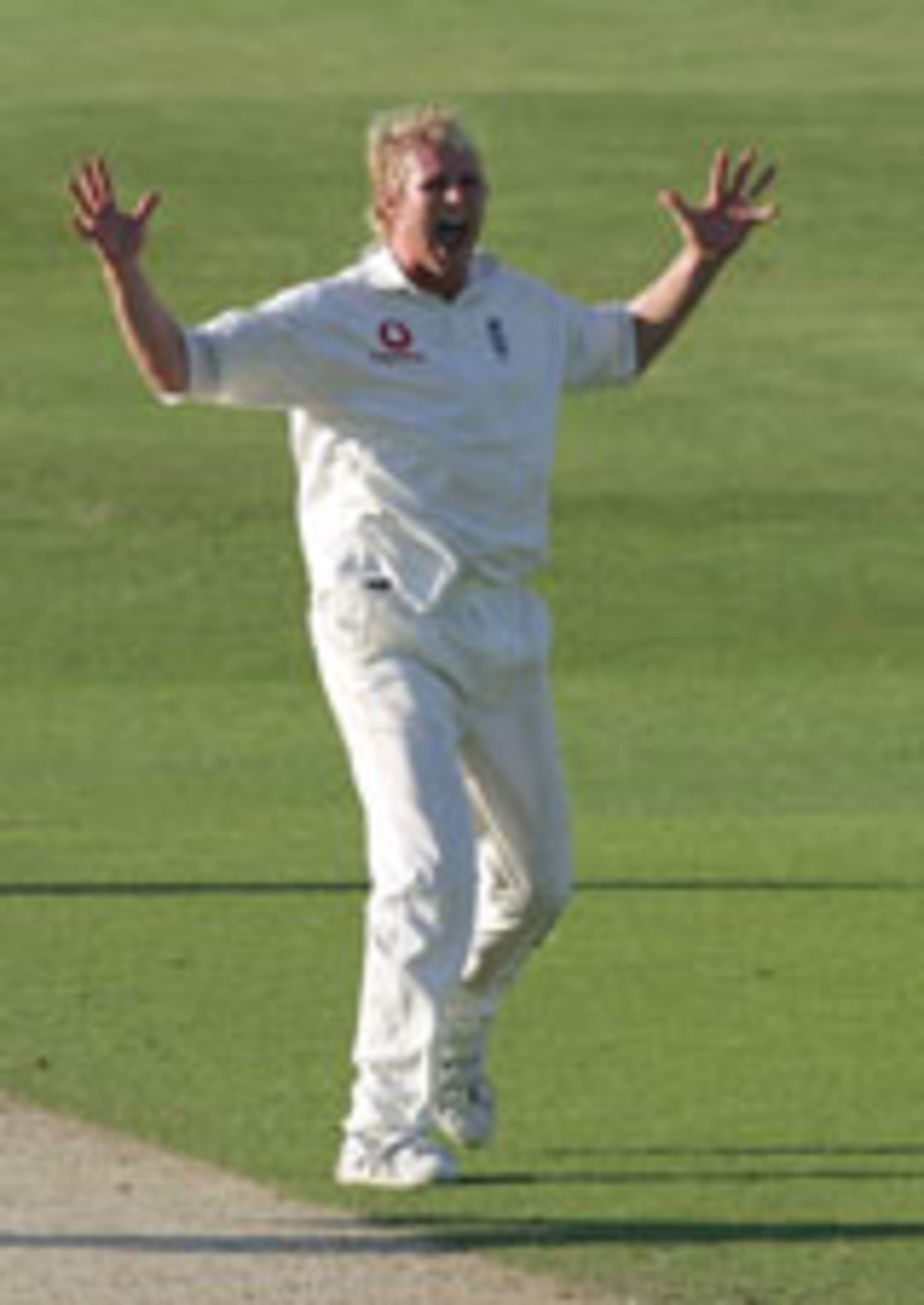 Matthew Hoggard celebrates the wicket of Mark Richardson, England v New Zealand, 2nd Test, Headingley, June 6, 2004