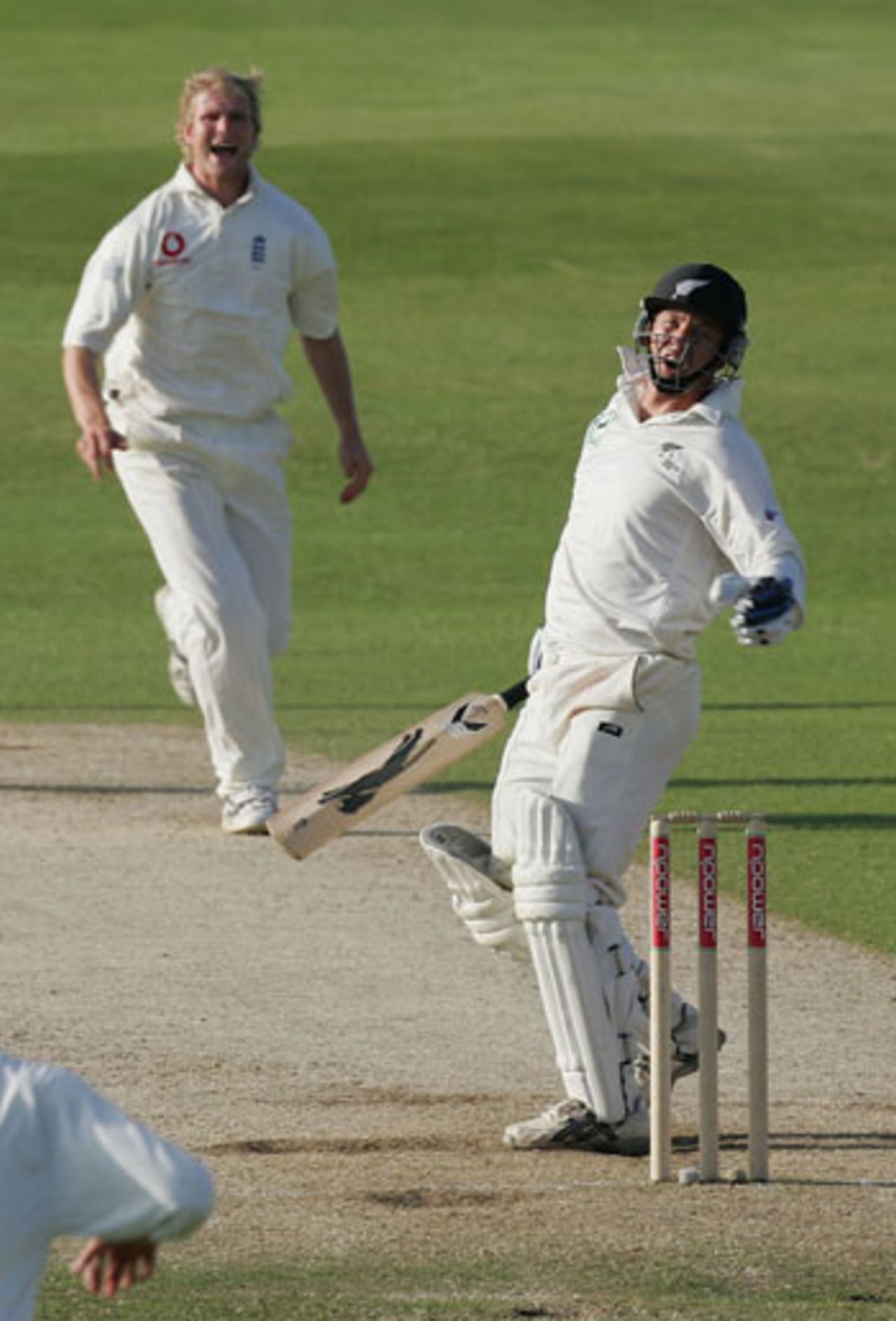 Matthew Hoggard dismisses Mark Richardson, England v New Zealand, 2nd Test, Headingley, June 6, 2004