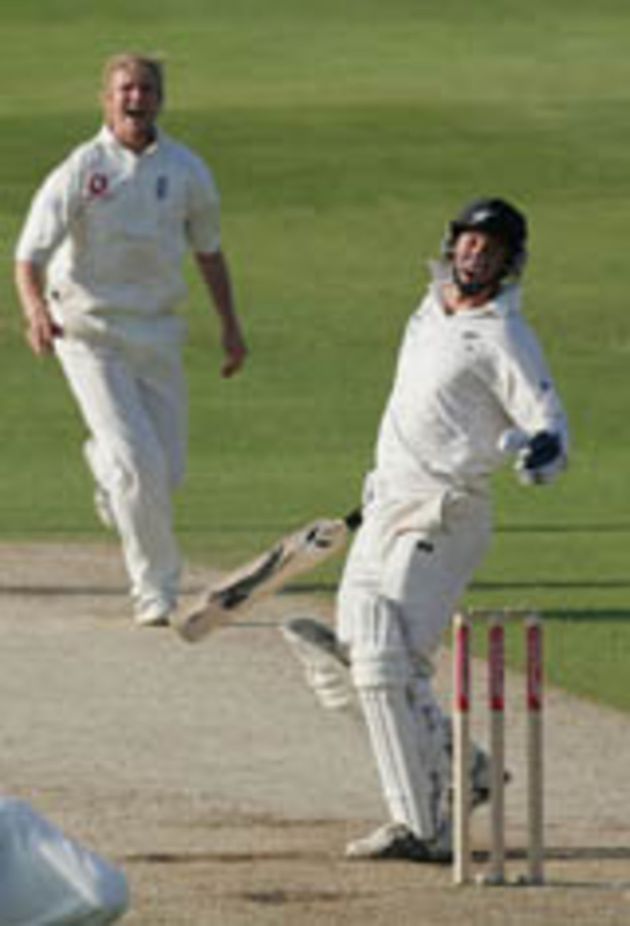 Matthew Hoggard dismisses Mark Richardson, England v New Zealand, 2nd Test, Headingley, June 6, 2004