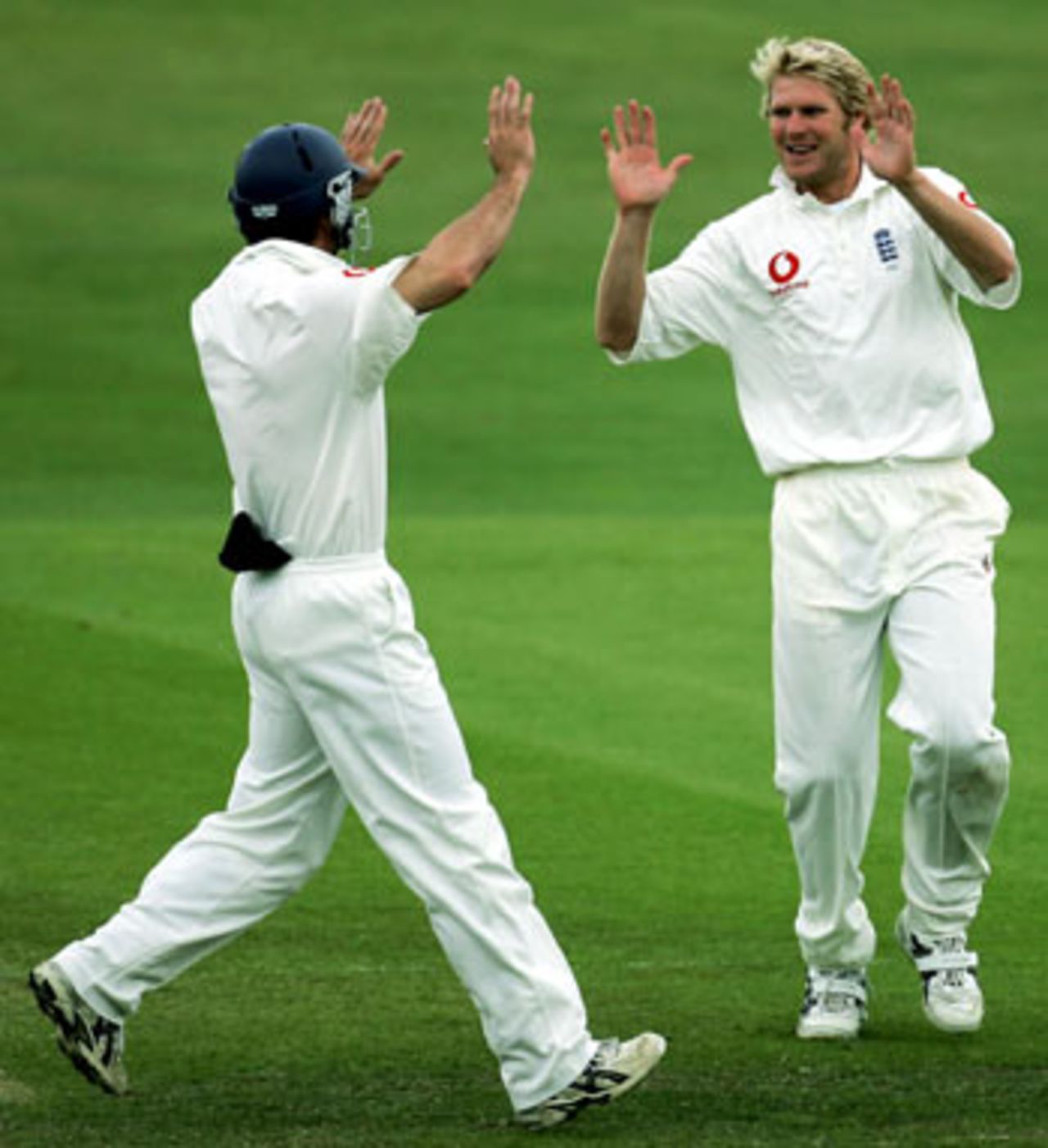 Matthew Hoggard celebrates dismissing Scott Styris, England v New Zealand, 2nd Test, Headingley, June 7, 2004