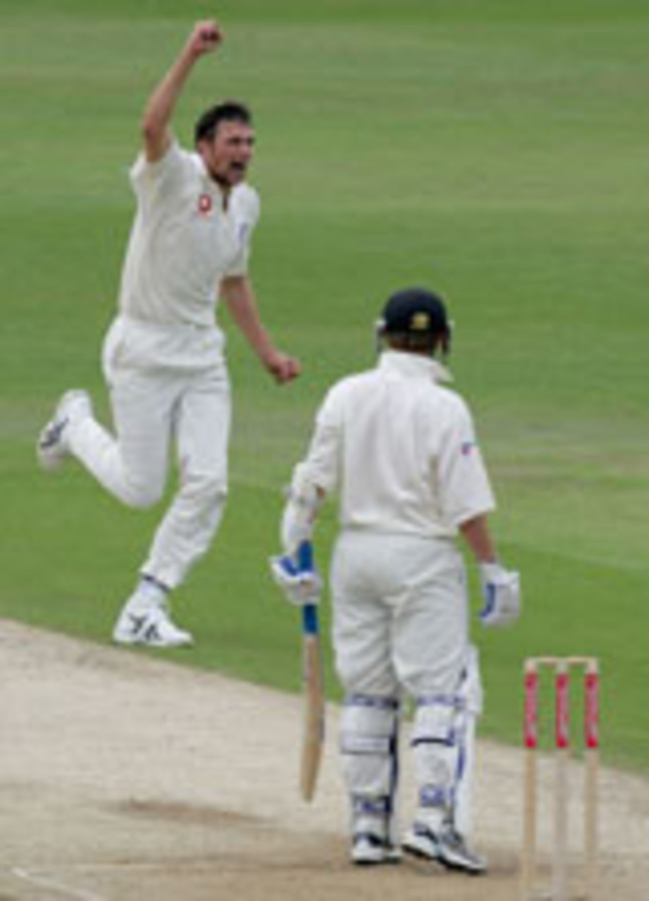 Stephen Harmison celebrates the wicket of Michael Papps, England v New Zealand, 2nd Test, Headingley, June 7, 2004