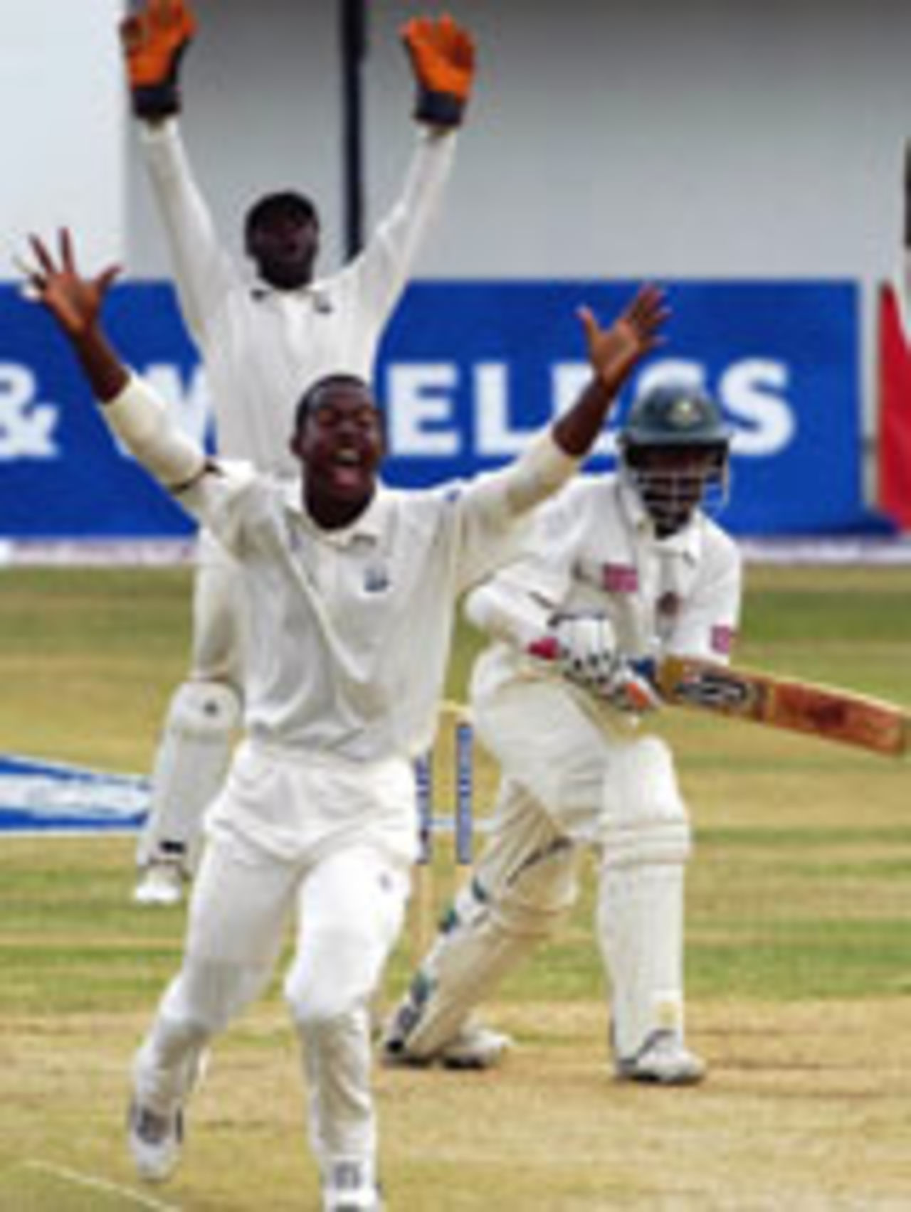 Dwayne Smith appeals, West Indies v Bangladesh, 2nd Test, Jamaica, June 7, 2004