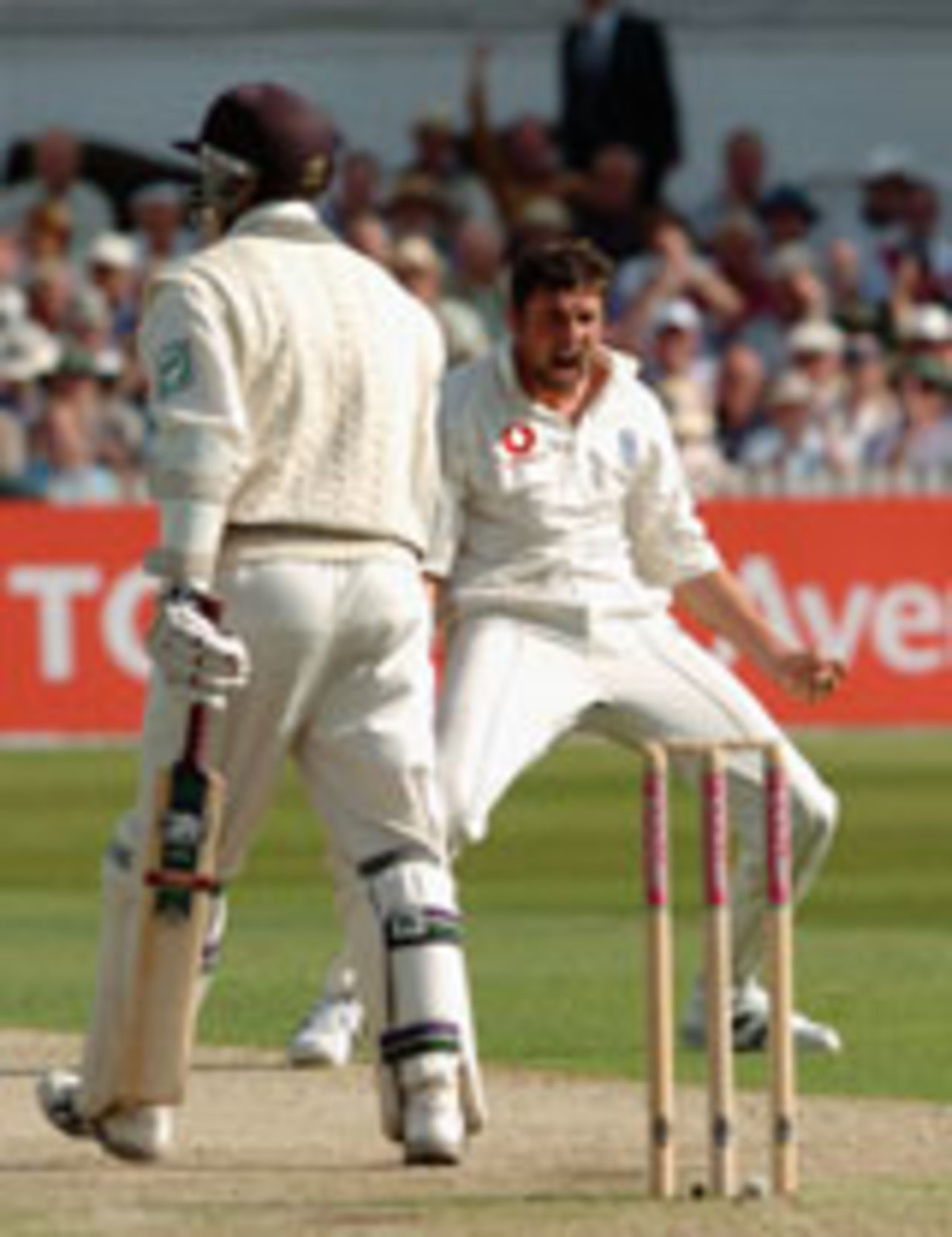 Stephen Harmison traps Craig McMillan lbw, England v New Zealand, 3rd Test, Trent Bridge, June 10, 2004