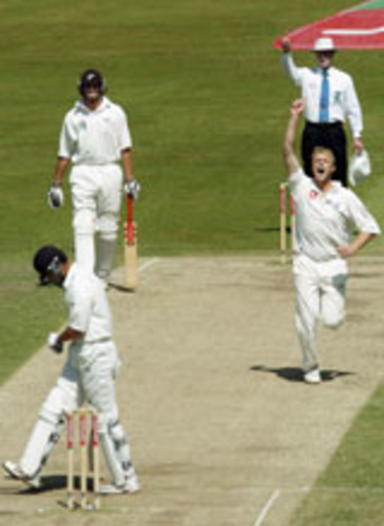 Andrew Flintoff dismisses James Franklin, England v New Zealand, 3rd Test, Trent Bridge, June 13, 2004