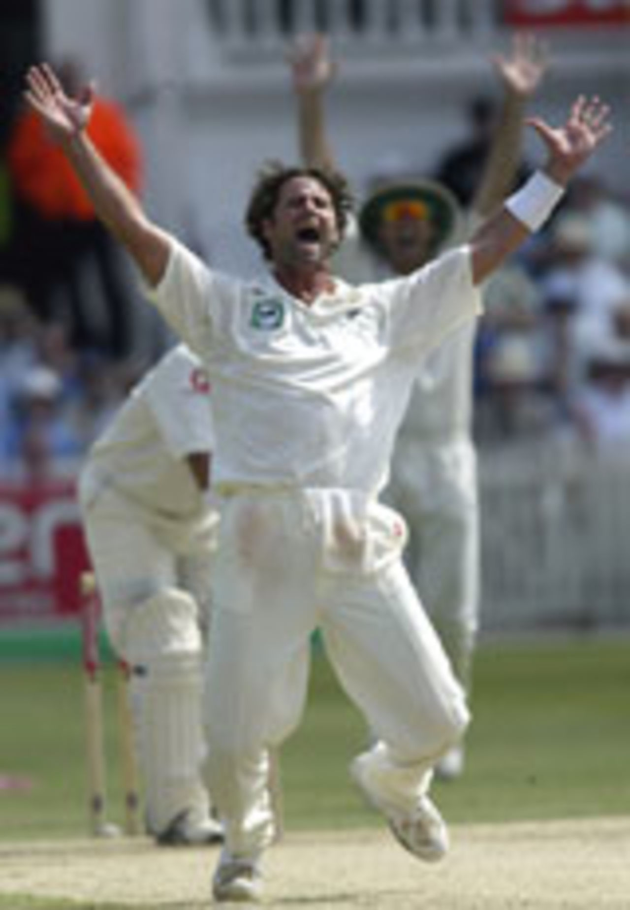 Chris Cairns appeals for the wicket of Mark Butcher, England v New Zealand, 3rd Test, Trent Bridge, June 13, 2004