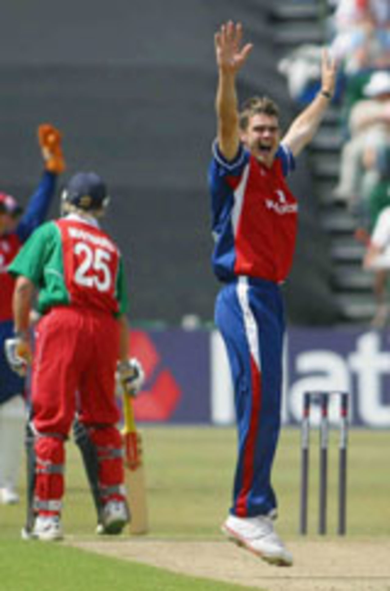 James Anderson appeals, Wales v England, Cardiff, June 19, 2004