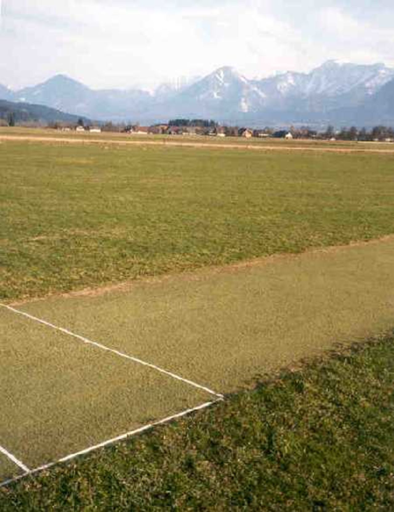 A close up of the pitch at an Austrian cricket ground in the Alps