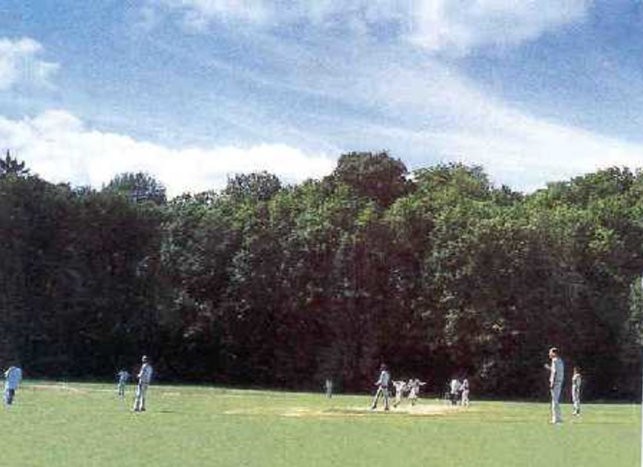 A cricket match at Chateau de Thoiry
