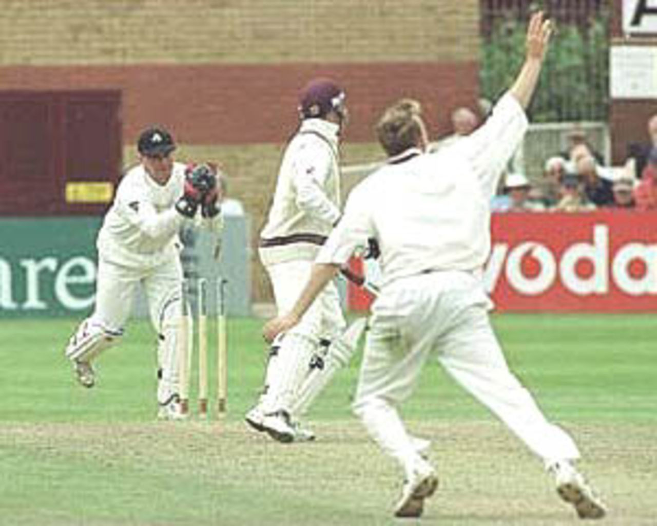 Warren Hegg stumps Mike Burns off Chris Schofield, PPP healthcare County Championship Division One, 2000, Somerset v Lancashire, County Ground, Taunton, 12-15 July 2000(Day 3).