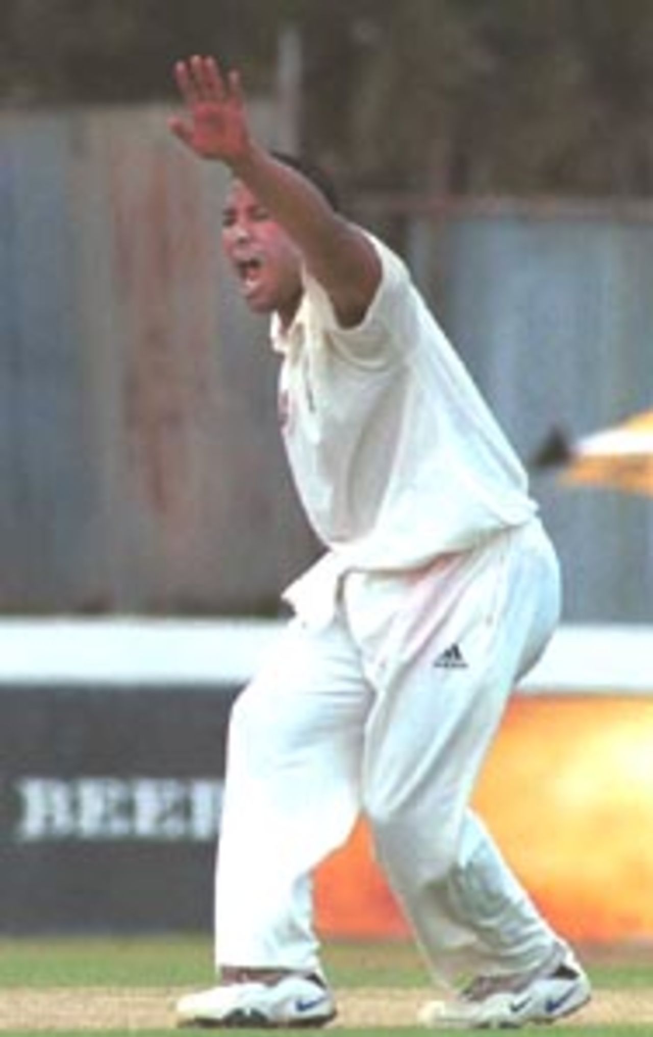 Paul Adams makes a vociferous appeal for an LBW, South Africa in Sri Lanka, 2000/01, 1st Test, Sri Lanka v South Africa, Galle International Stadium, 20-24 July 2000(Day 1).