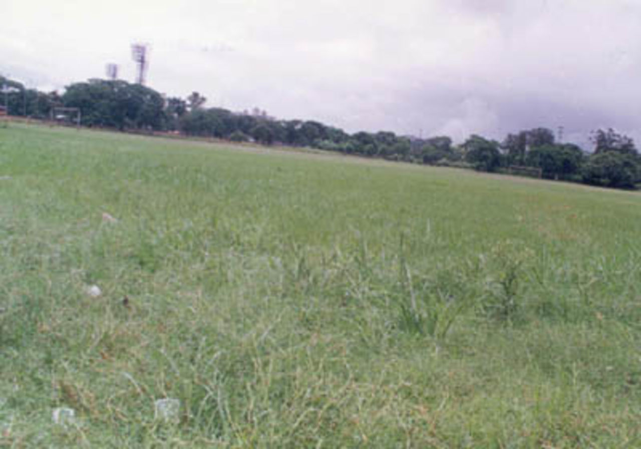 A view of the Calcutta Rangers Club turf, Calcutta