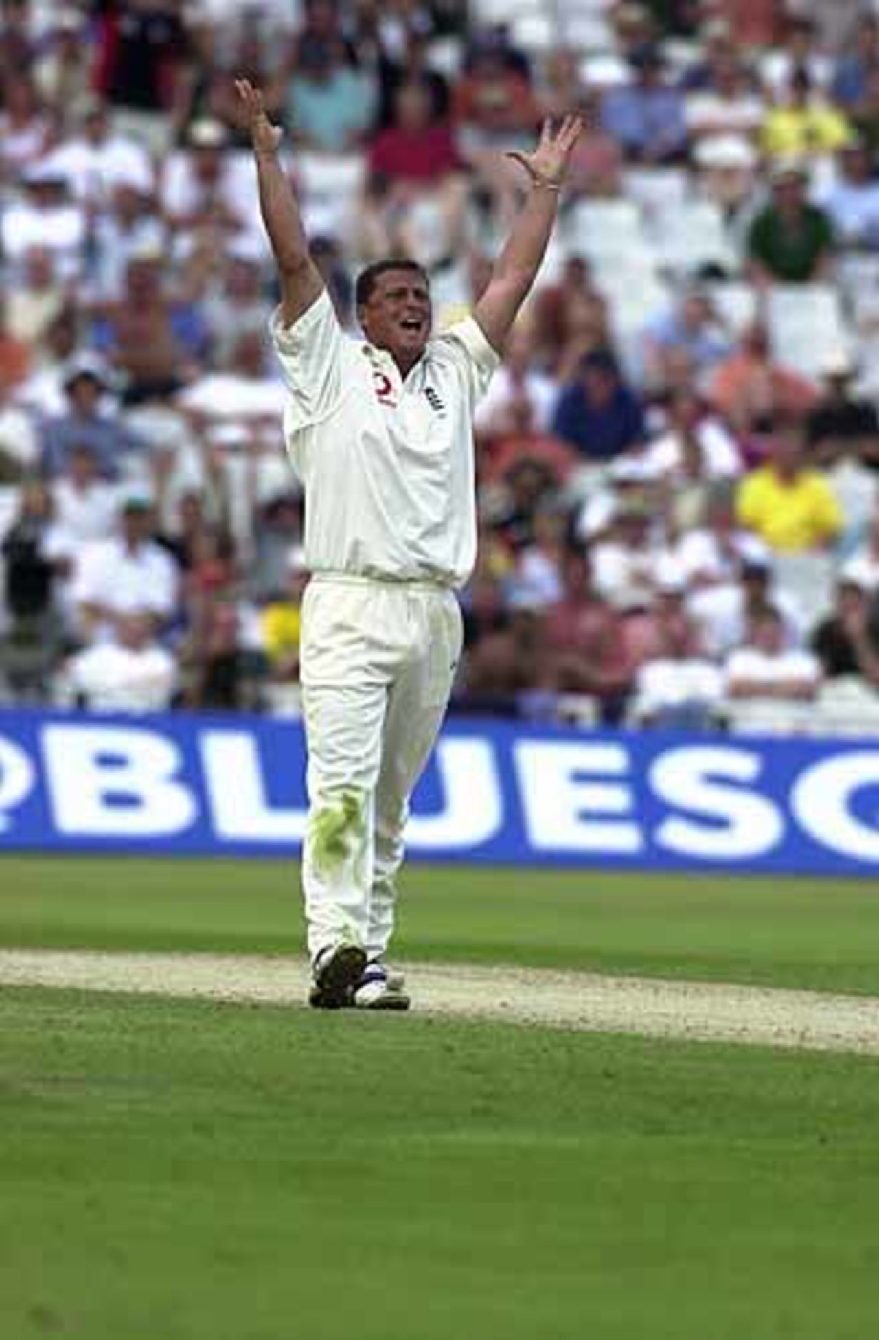 England v Australia, The Ashes Ist npower Test, Edgbaston, 5-9 July 2001
