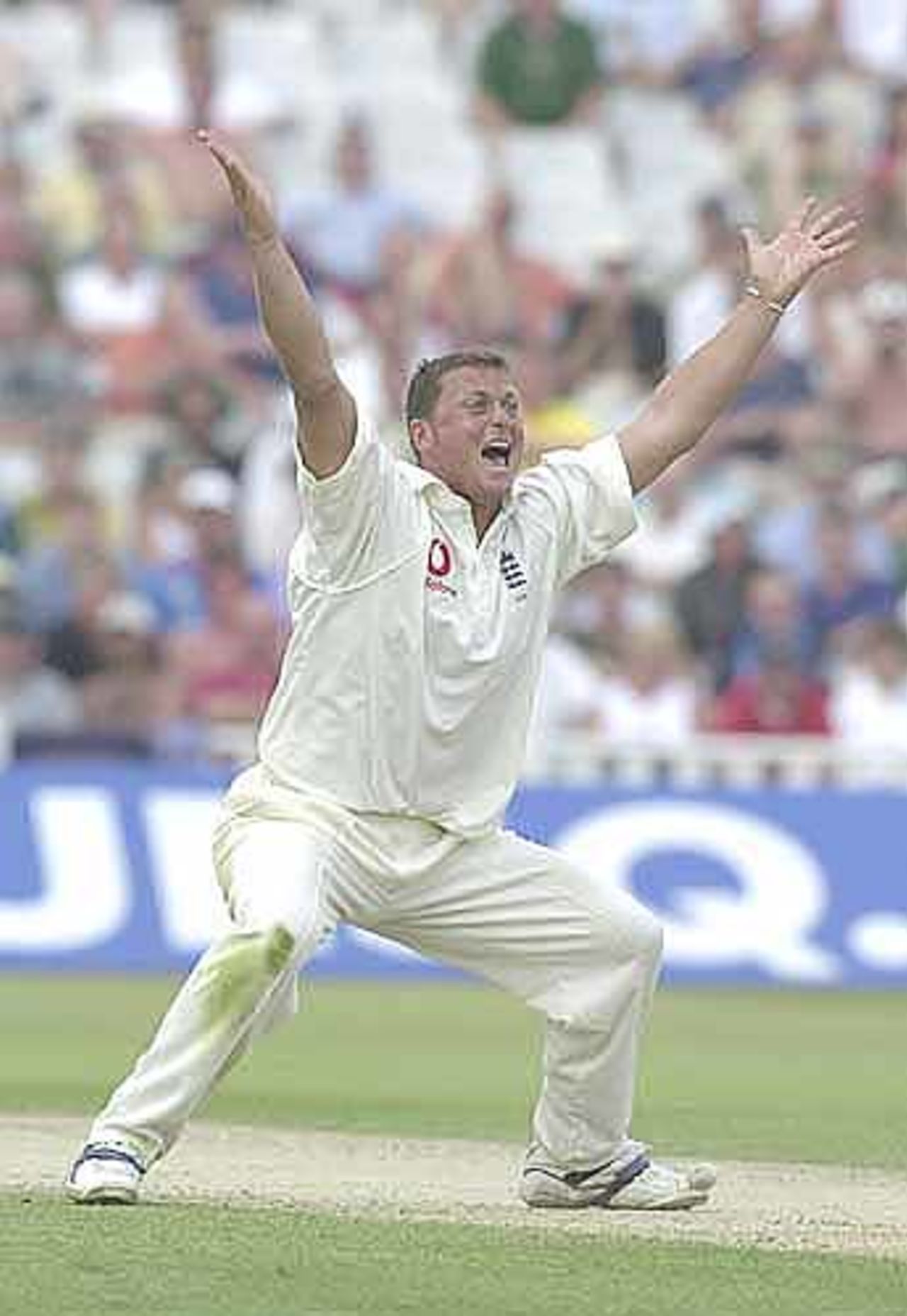 England v Australia, 1st npower Test, 5-9 July 2001, Edgbaston , Birmingham