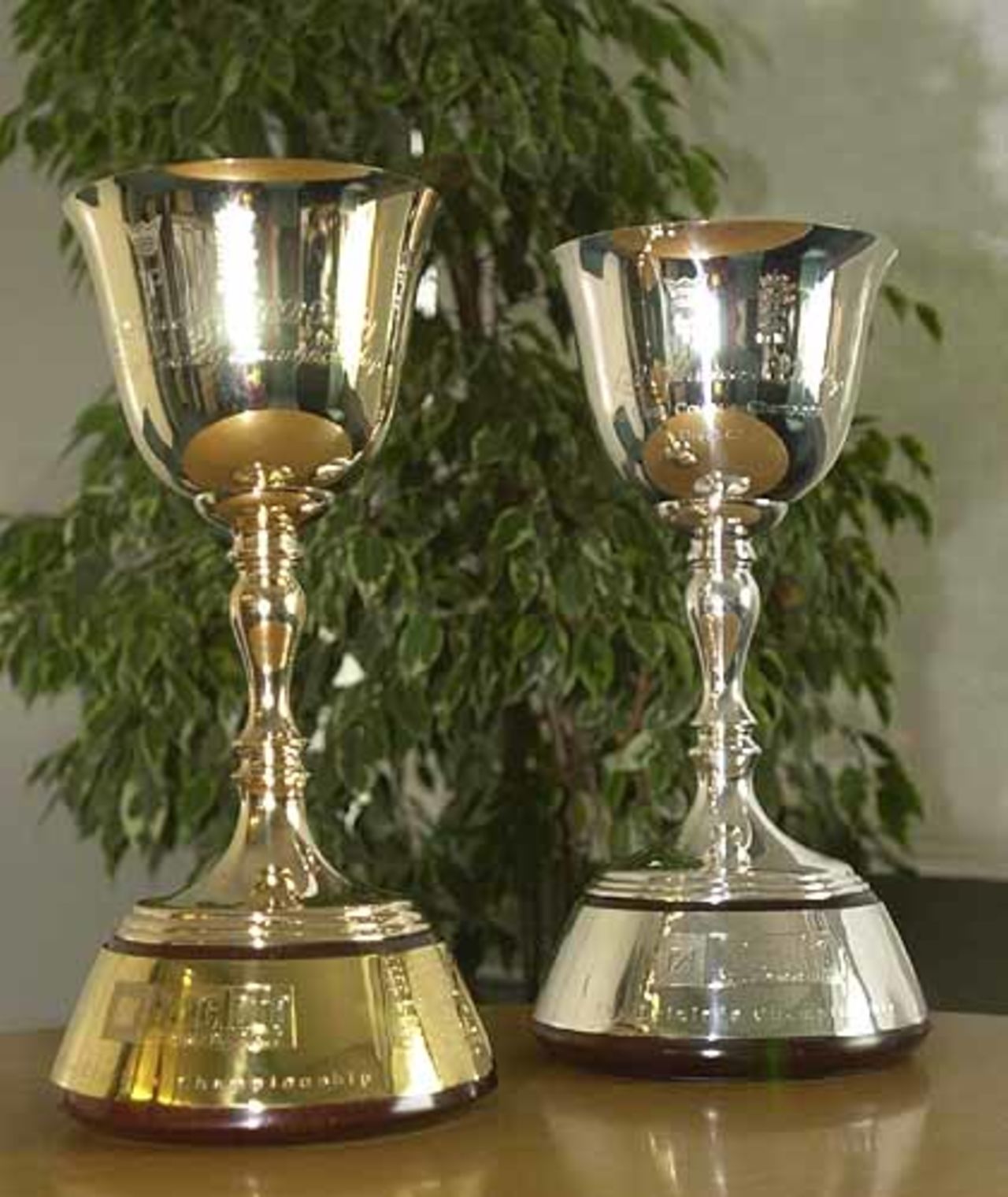 Taken at Lord's 2001