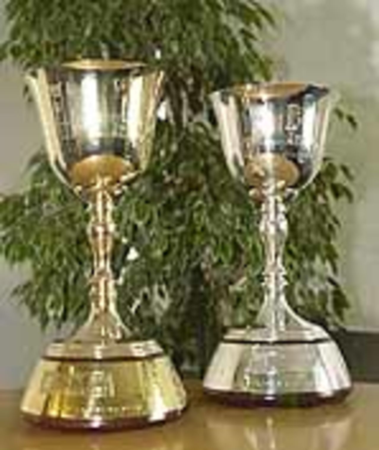 On display at Lord's 2001