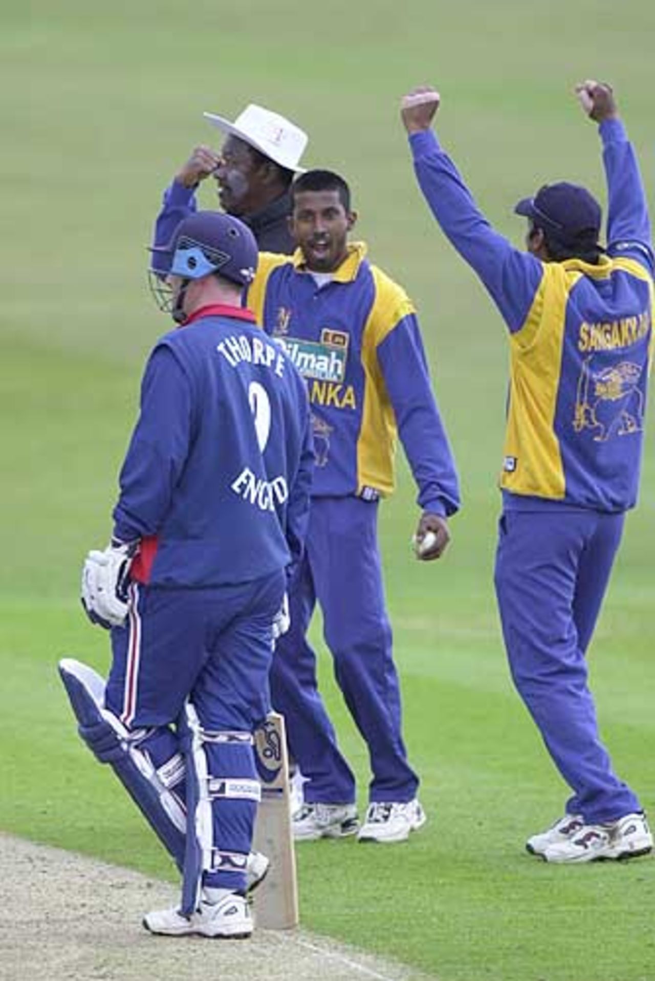 Arnold and Sangakarra are overjoyed to see Thorpe run out, England v Sri Lanka at Leeds, July 2002