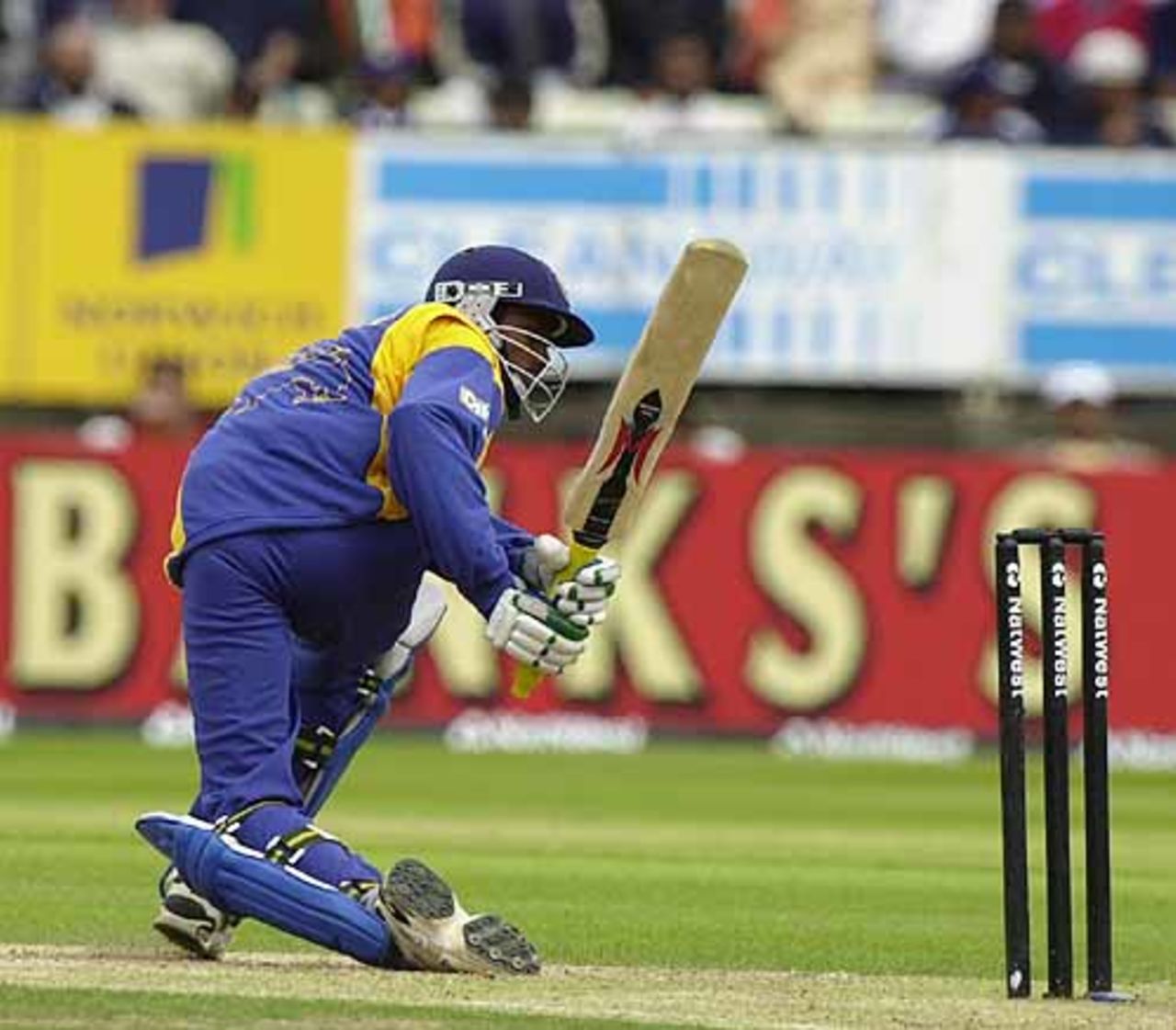 Russel Arnold in a bit of a tangle with The Wand bat, India v Sri Lanka at Birmingham, July 2002