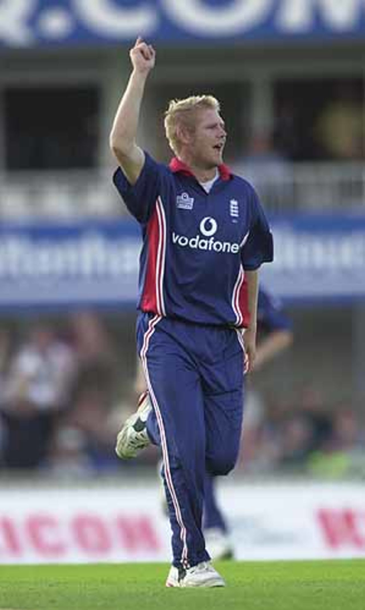 Hoggards dellight as he gets Tendulkar out, England v India, NatWest Series, The Oval, Tue 9 Jul 2002