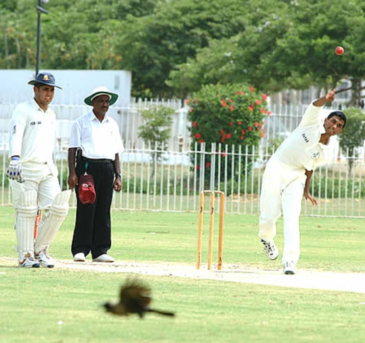 Mohammad Emran of Qatar bowls while a bird does a flypast, Qatar Under-19s v United Arab Emirates Under-19s at United Bank Ltd Sports Complex Karachi, Youth Asia Cup 2003, 16 July 2003.