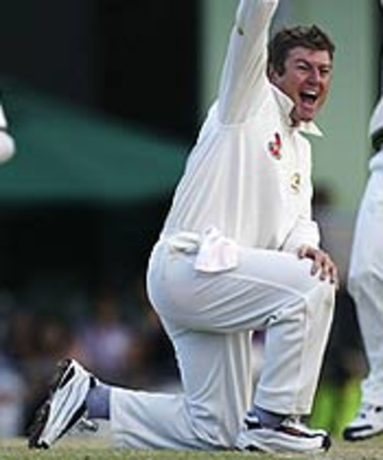 Stuart MacGill traps Mohammad Ashraful lbw in the second Test against Bangladesh at Cairns