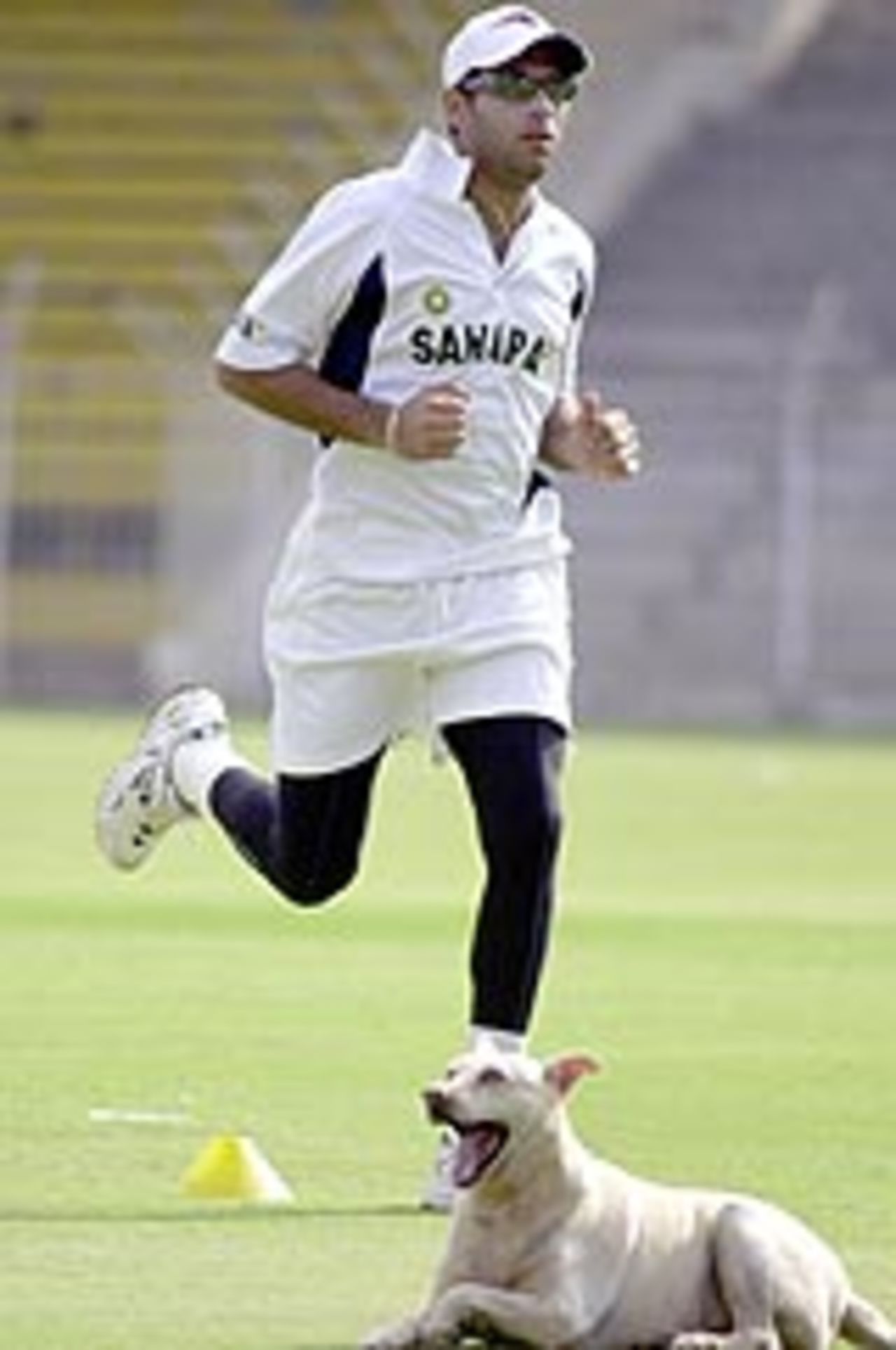 Kick the dog: Yuvraj Singh jogs past a bored spectator during a training camp in Chennai