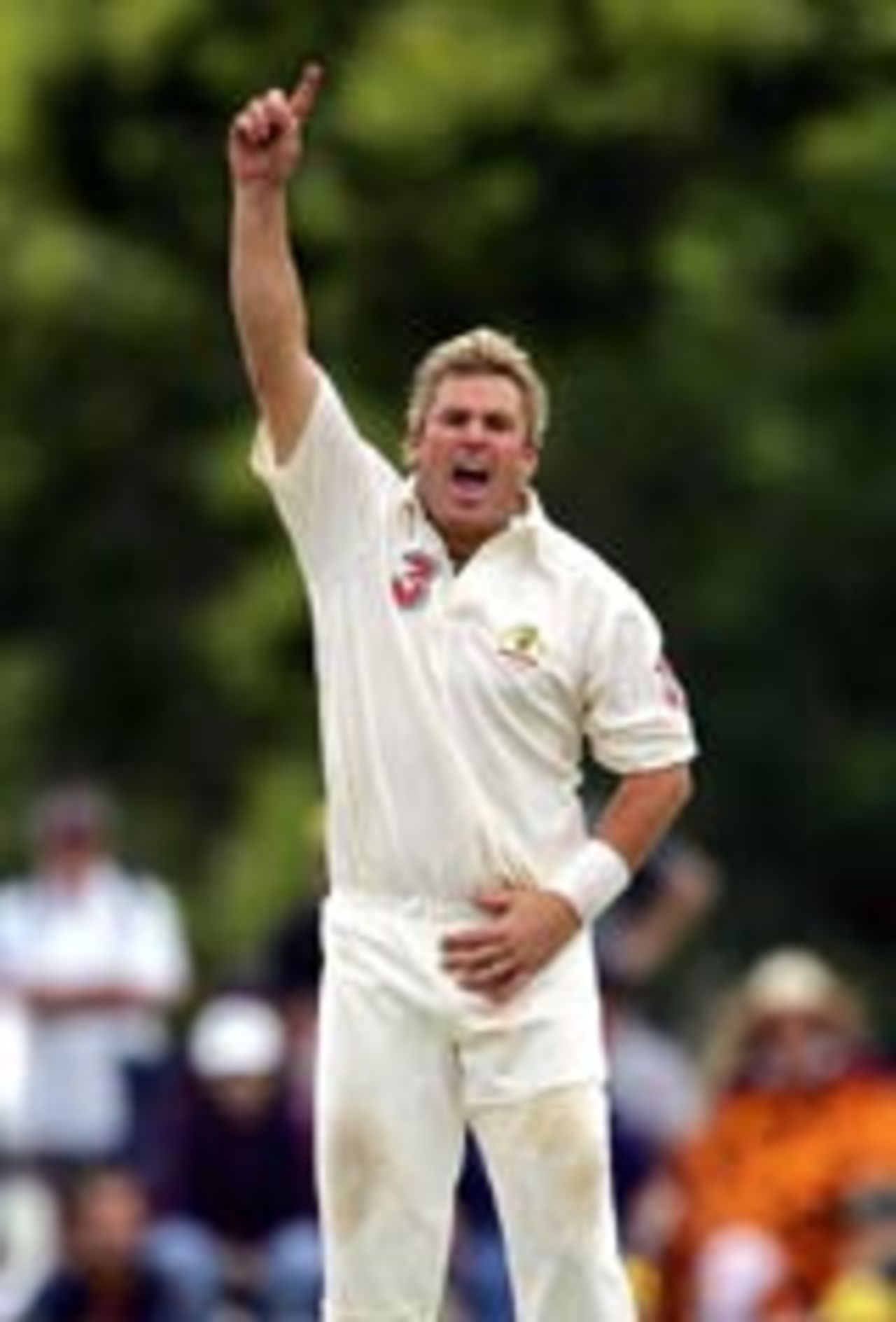 Shane Warne goes up in appeal, Australia v Sri Lanka, 2nd Test, Cairns, 3rd day, July 11, 2004